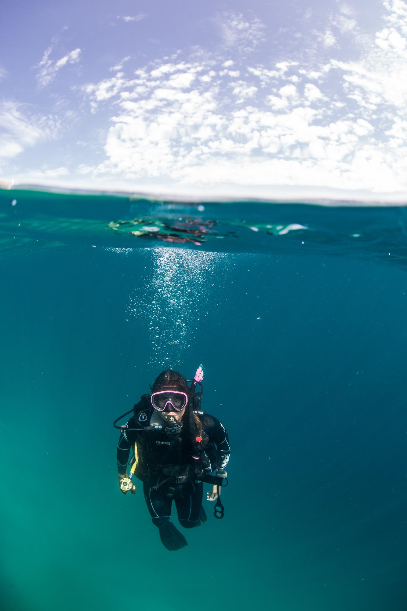 Cabo San Lucas Marine Park: Two-Tank Scuba Diving Adventure