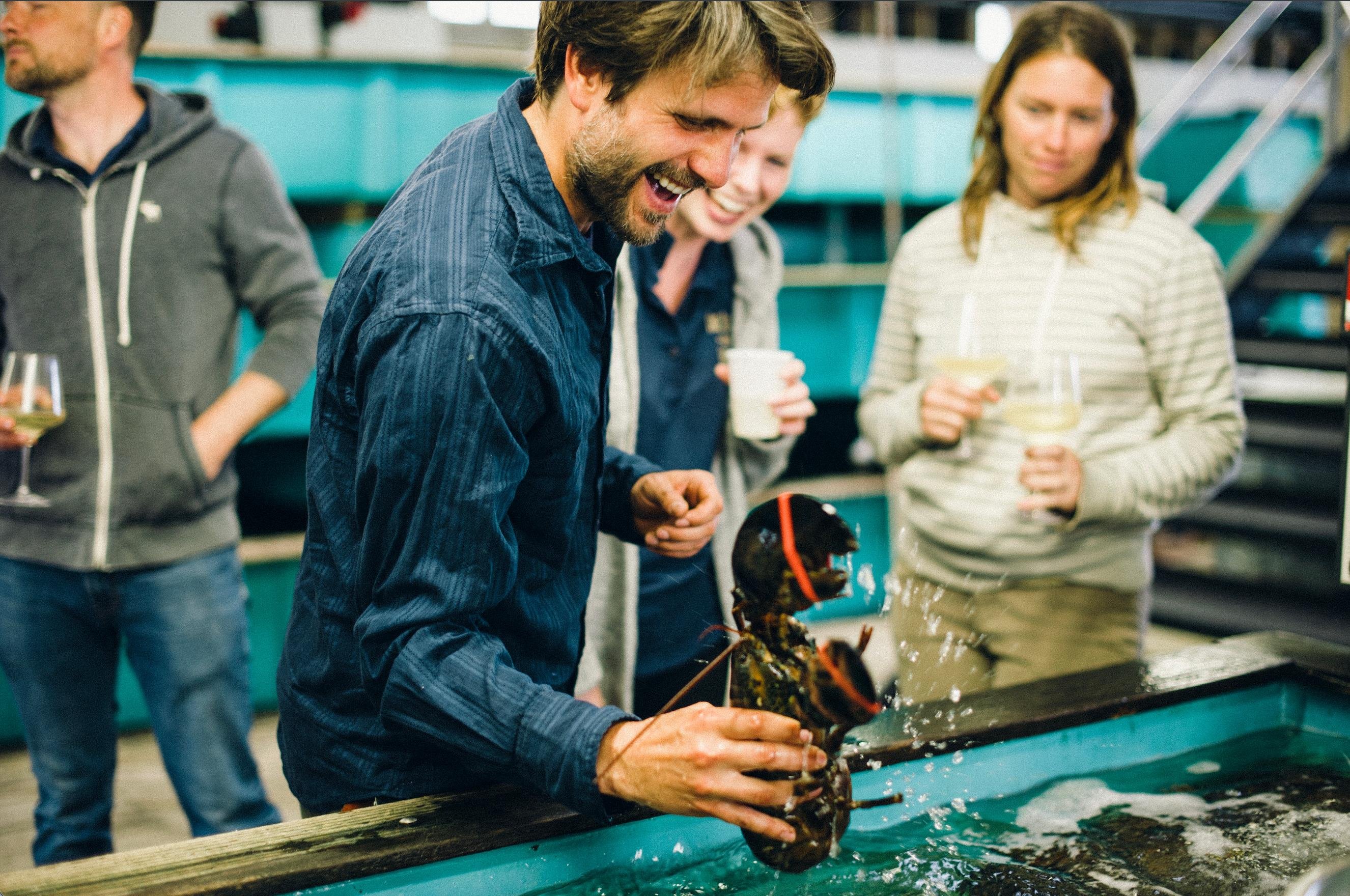 Belfast Sunset Boat Tour with Lobster Dinner