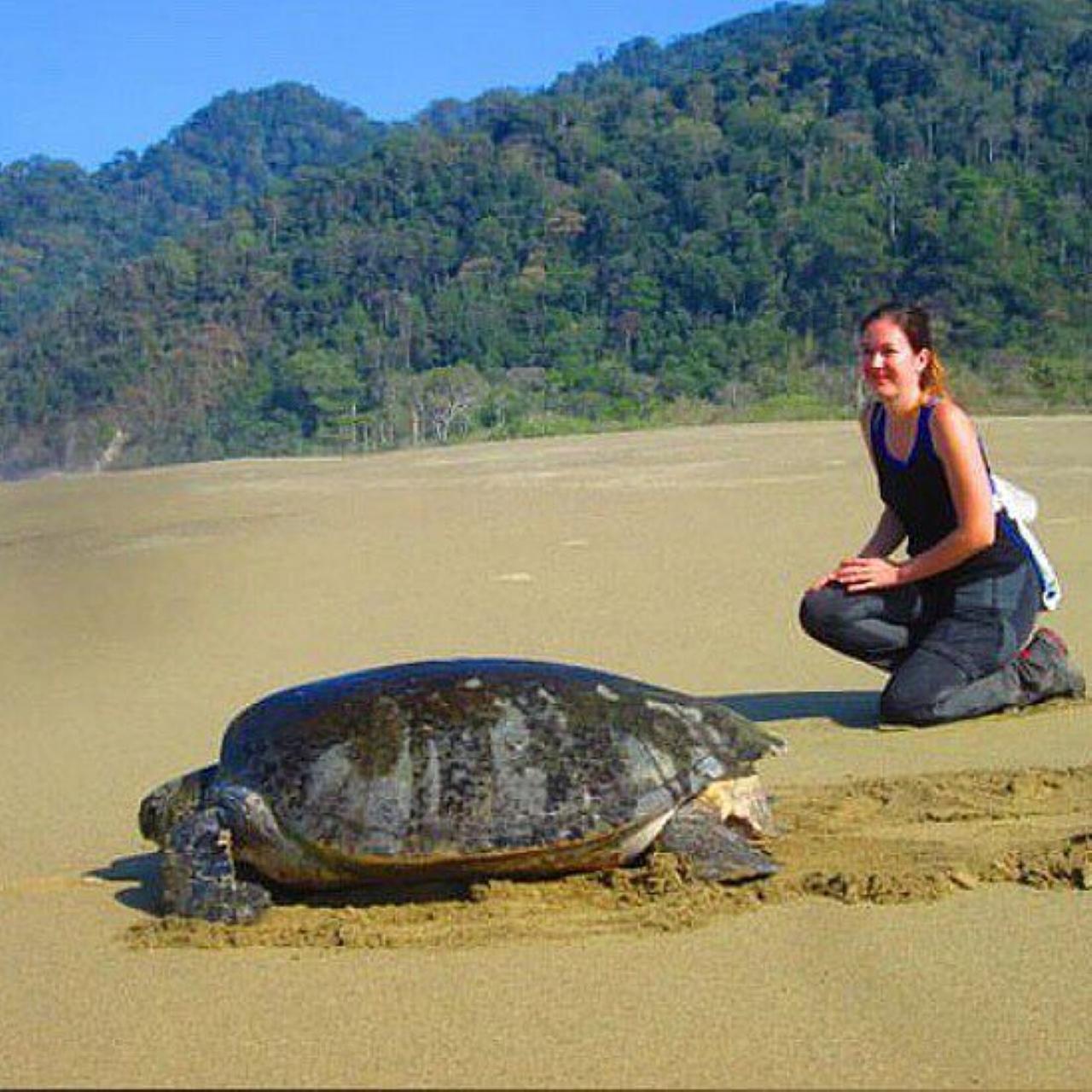 4-Day East Java Adventure: Mount Bromo, Ijen Blue Fire & Sukamade Turtles
