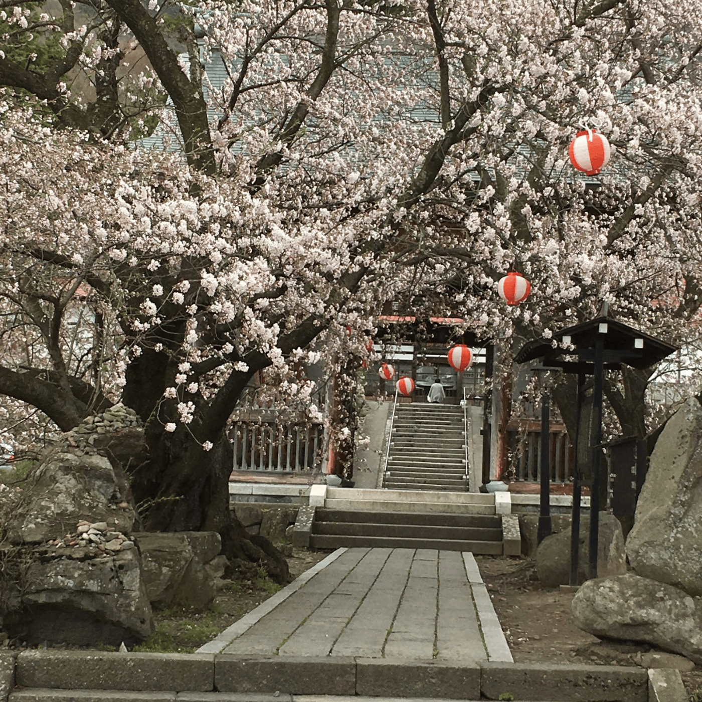 Private Nagano Day Tour: Snow Monkeys, Zenko-ji & Hot Springs from Tokyo
