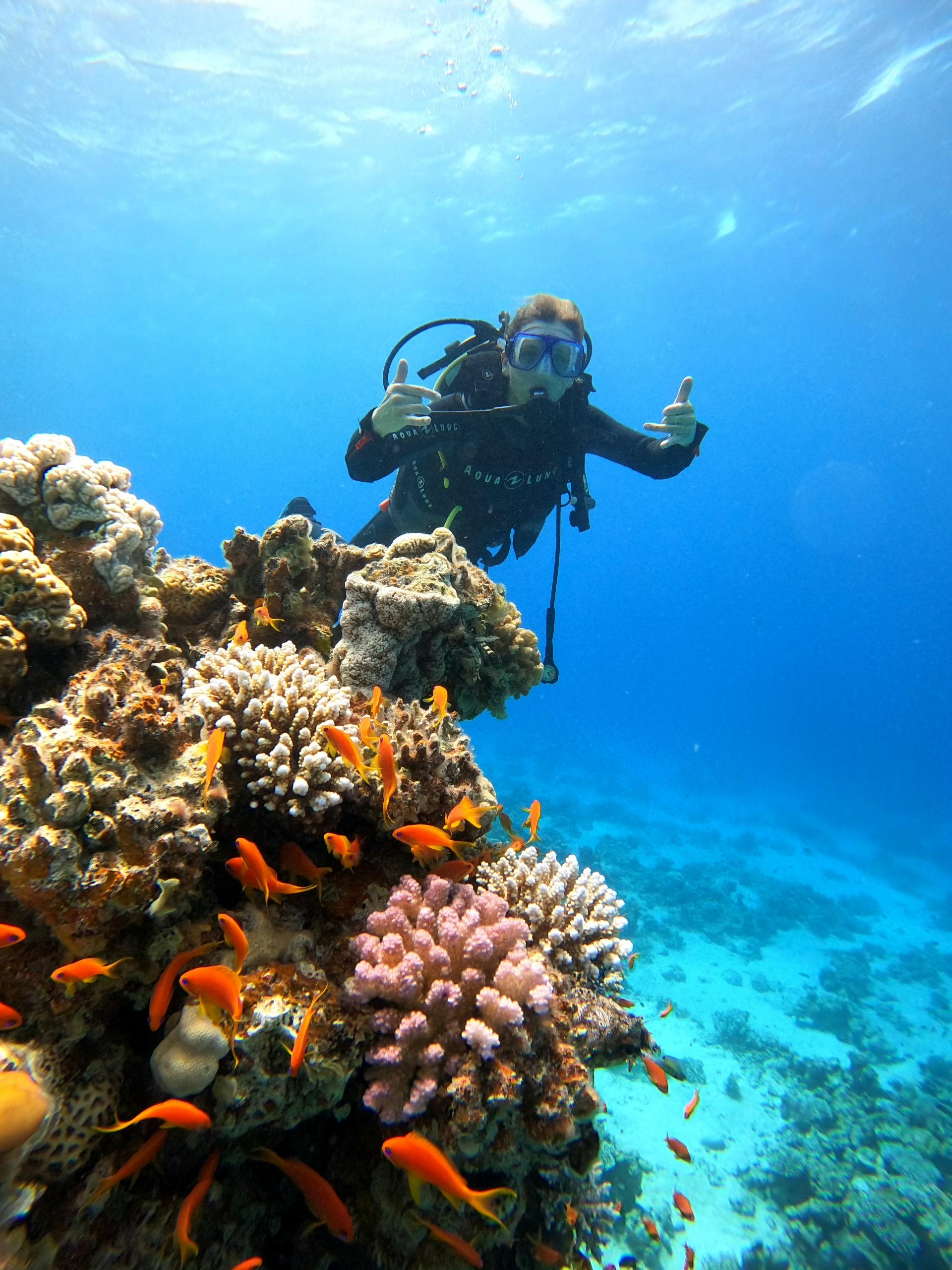 Lighthouse Reef Beginner Scuba Dive in Dahab