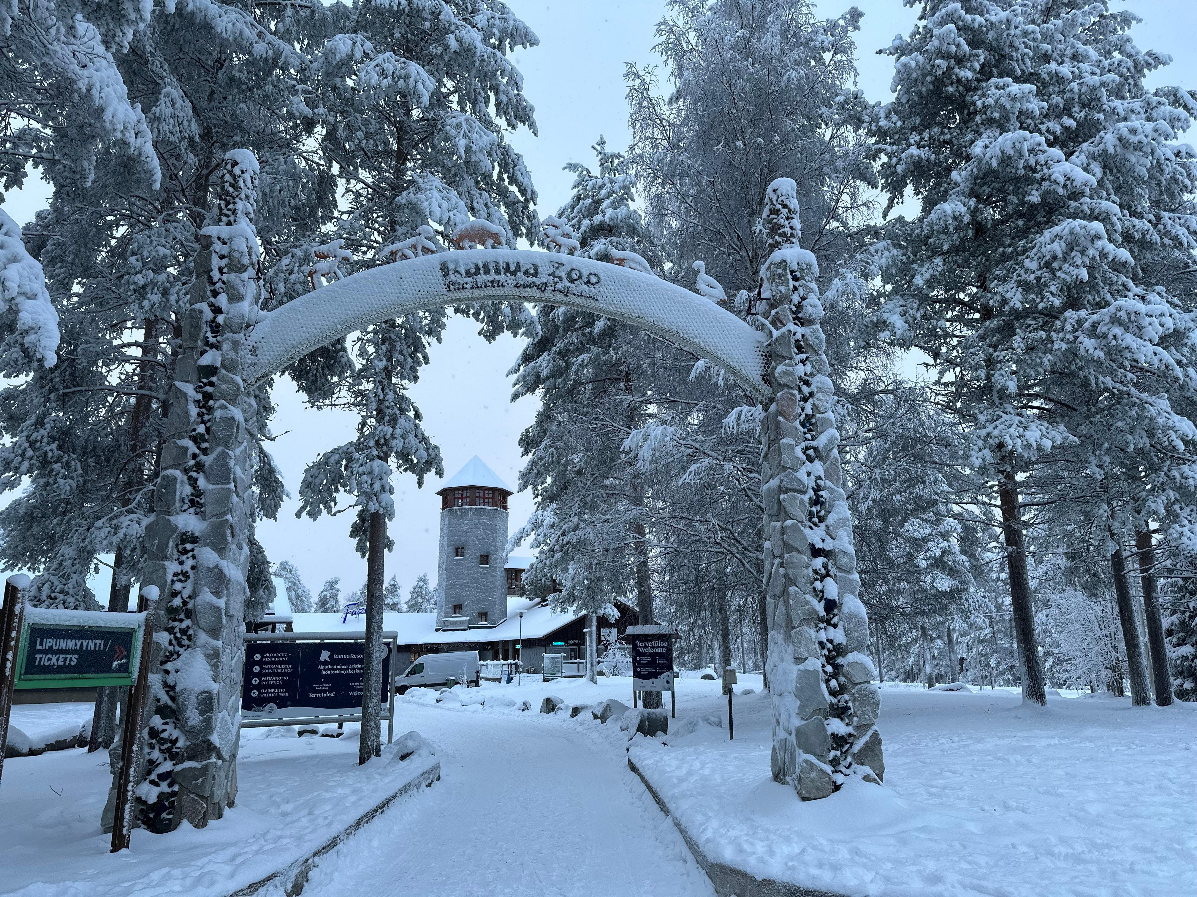 Private Lapland Day Tour: Santa's Village, Reindeer & Arctic Wildlife