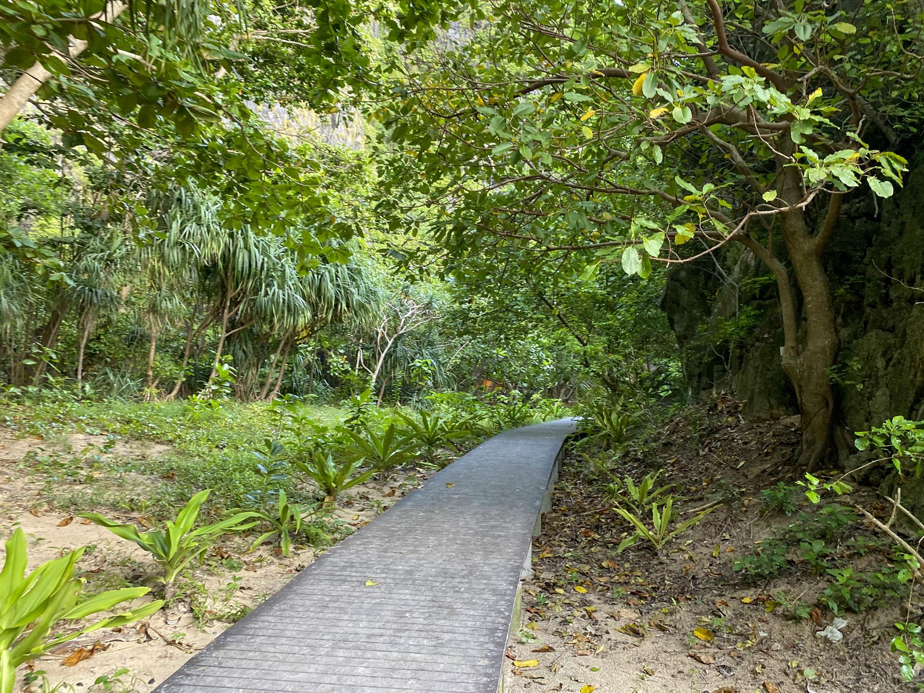 Private Koh Phi Phi Longtail Boat Expedition
