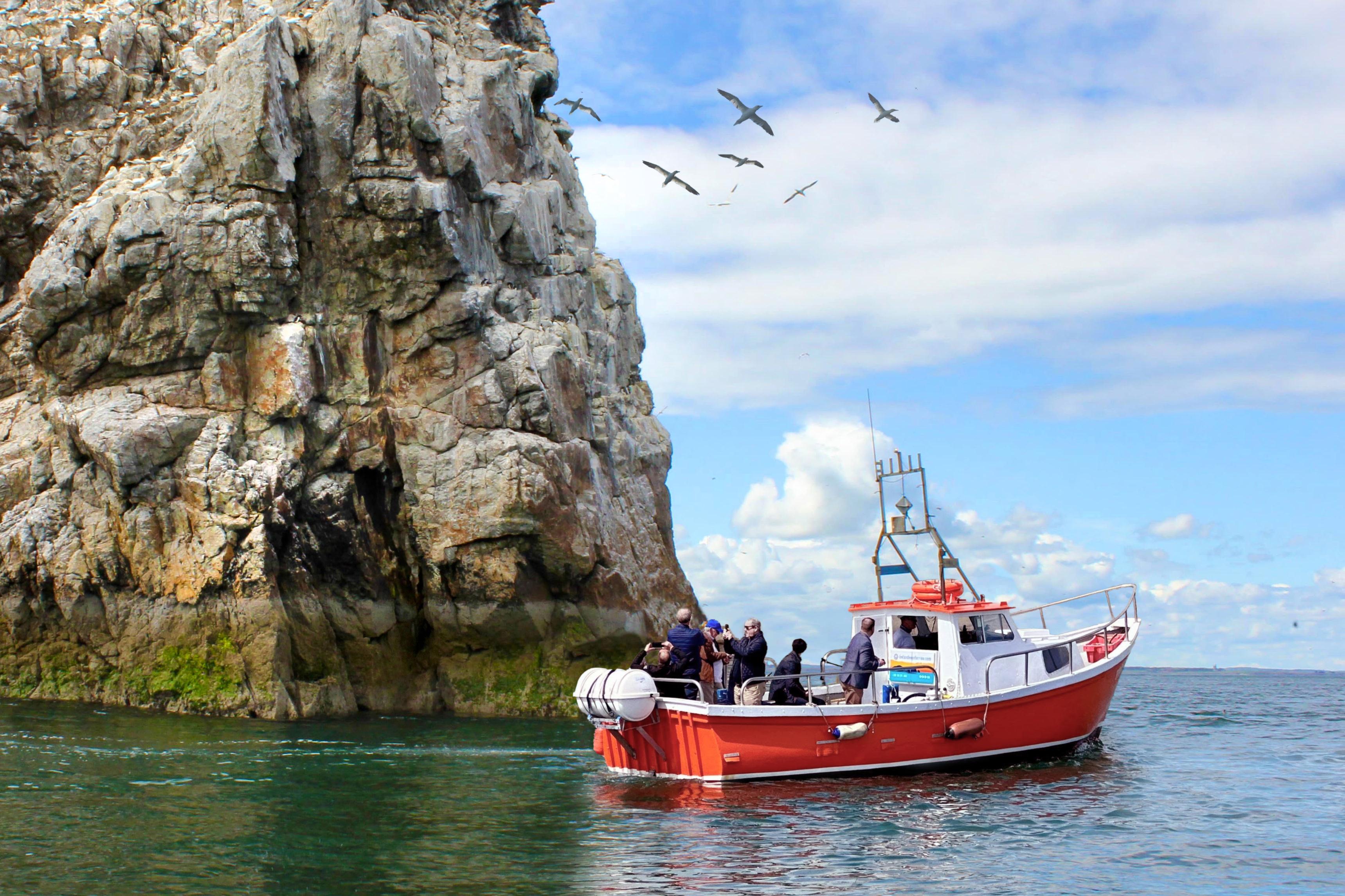 Howth Coastal Boat Experience