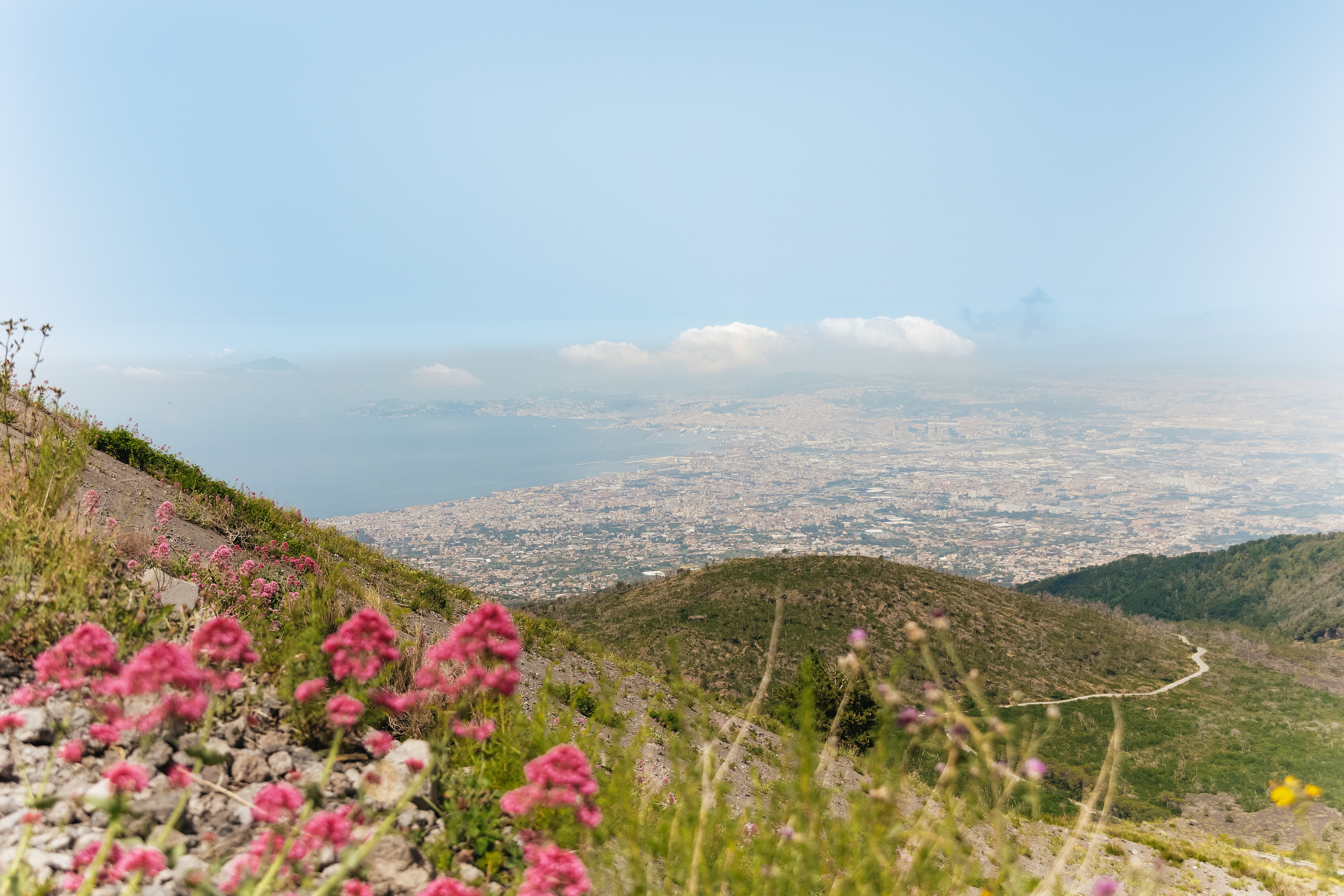 Pompeii & Vesuvius Day Trip from Rome
