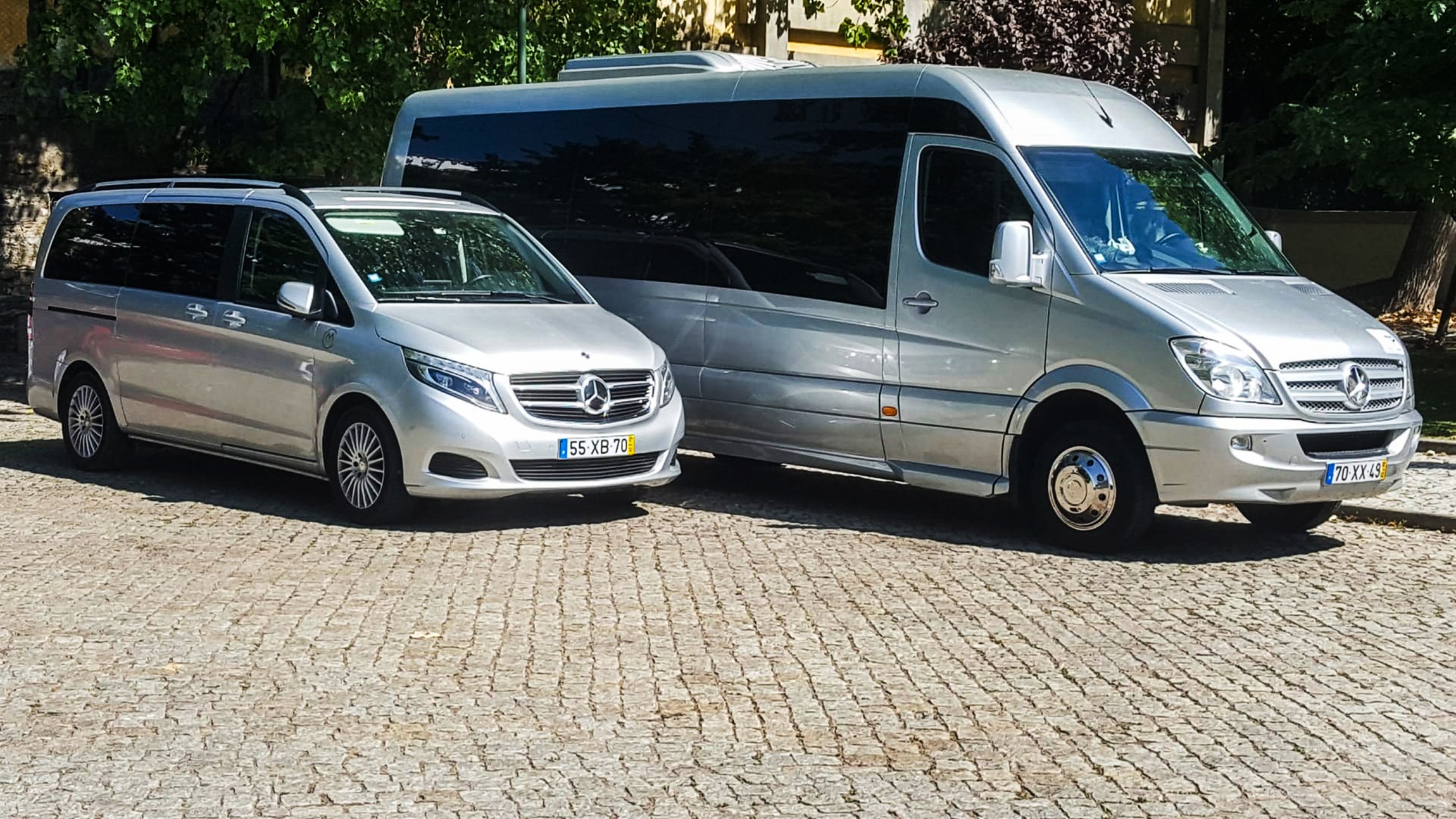 Douro Valley Day Trip: Boat Cruise, Wine Tasting & Traditional Lunch from Porto