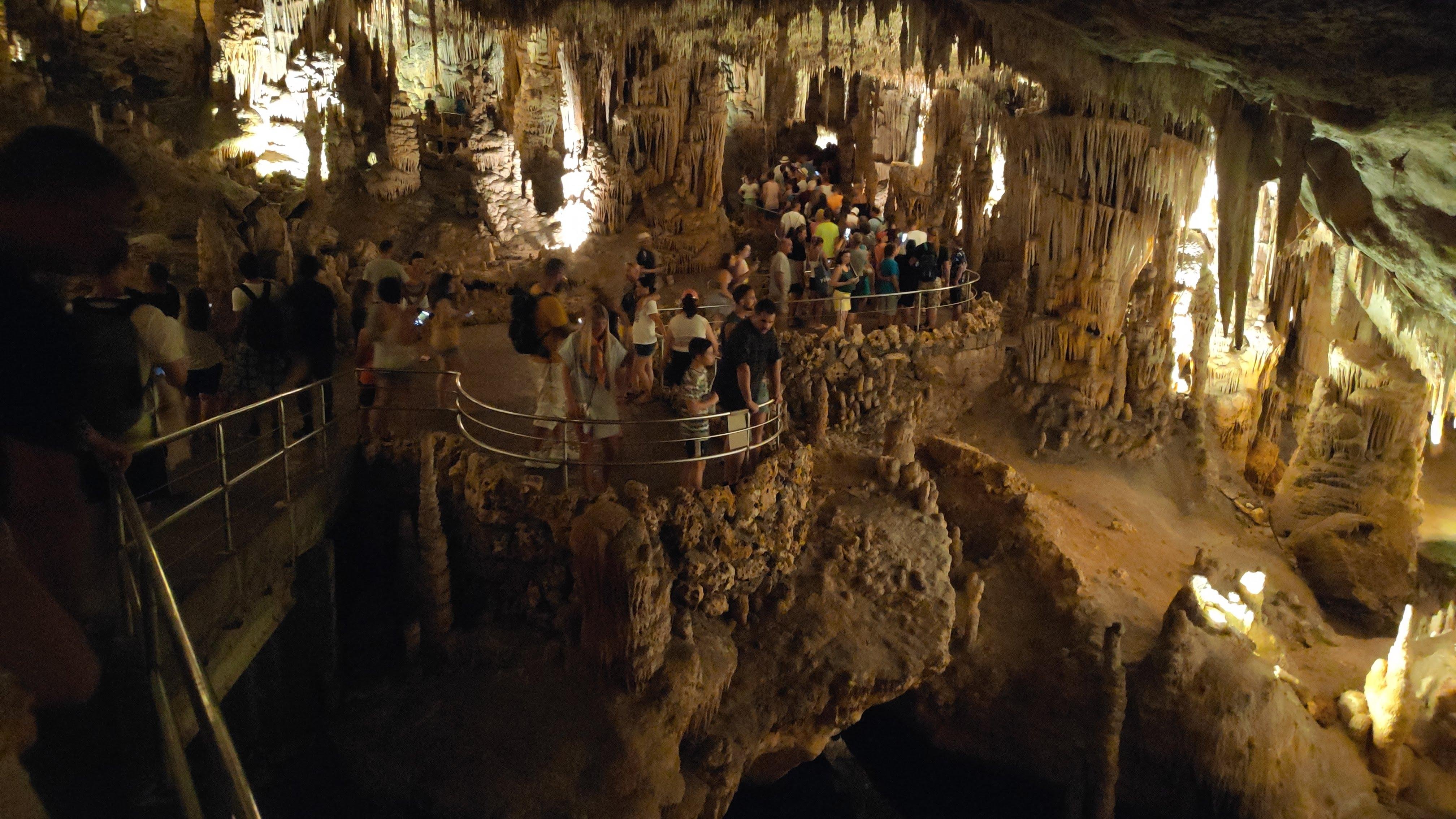 Mallorca Discovery: Drach Caves & Palma City Tour