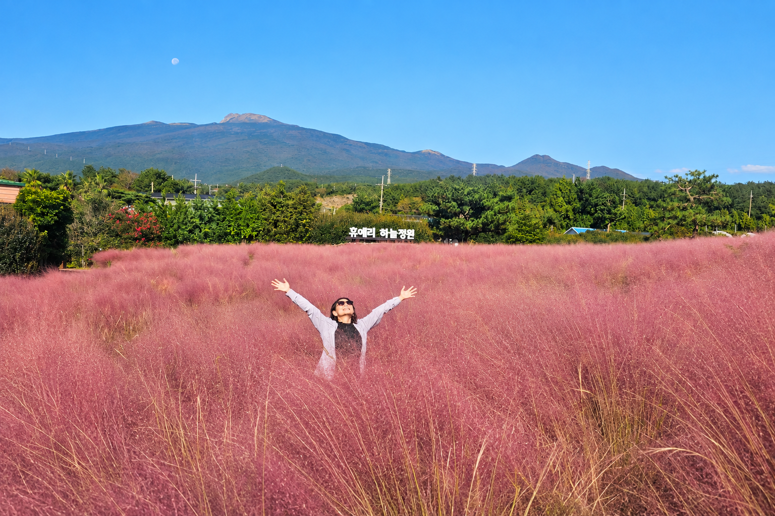 Jeju: South UNESCO Heritage & Mt Halla Hiking