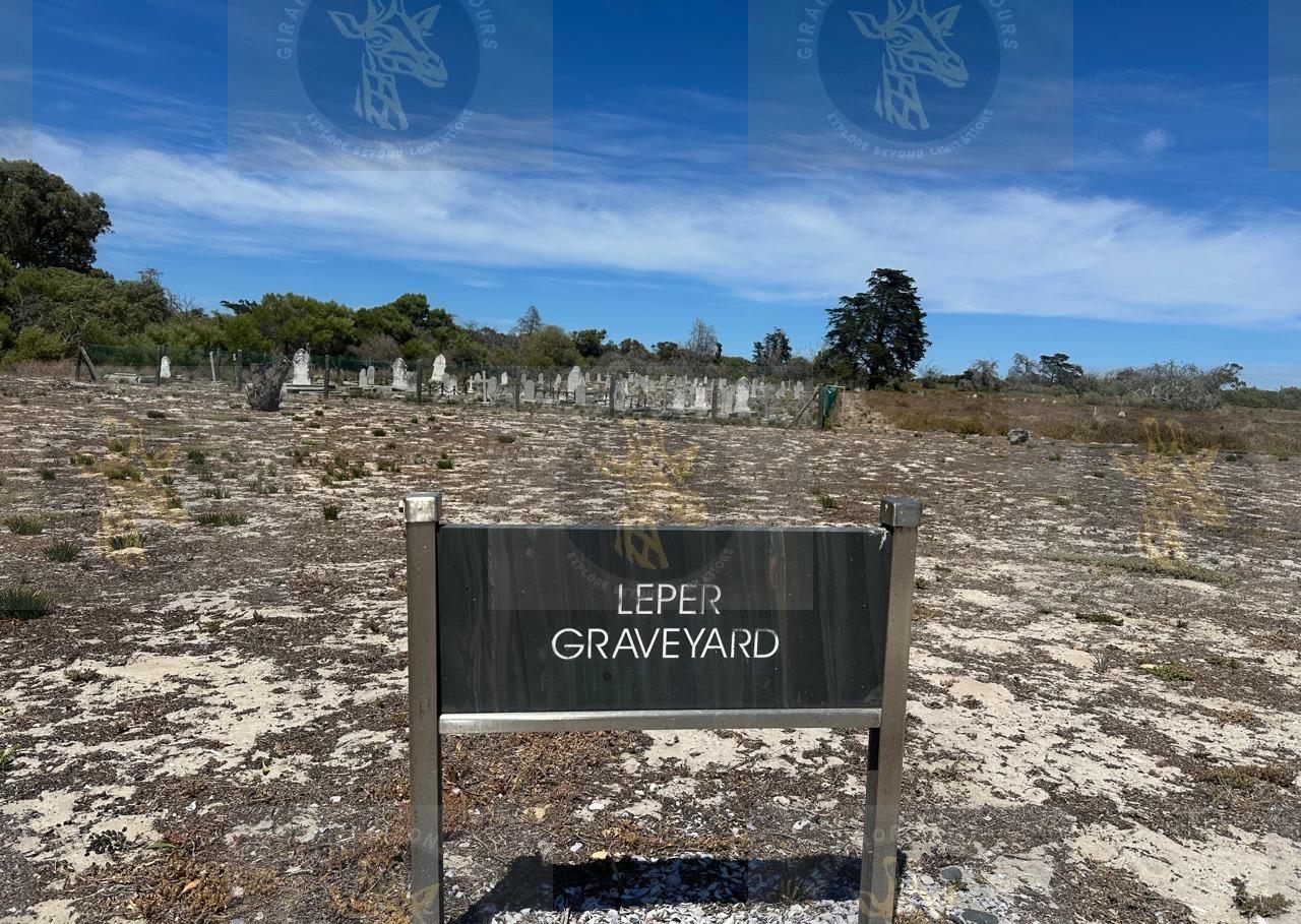 Robben Island Ferry, Prison & Guided Tour from Cape Town