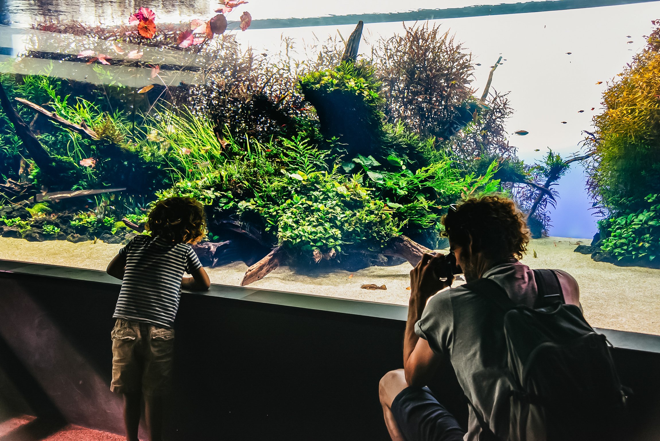 Lisbon Oceanarium: General Admission Ticket