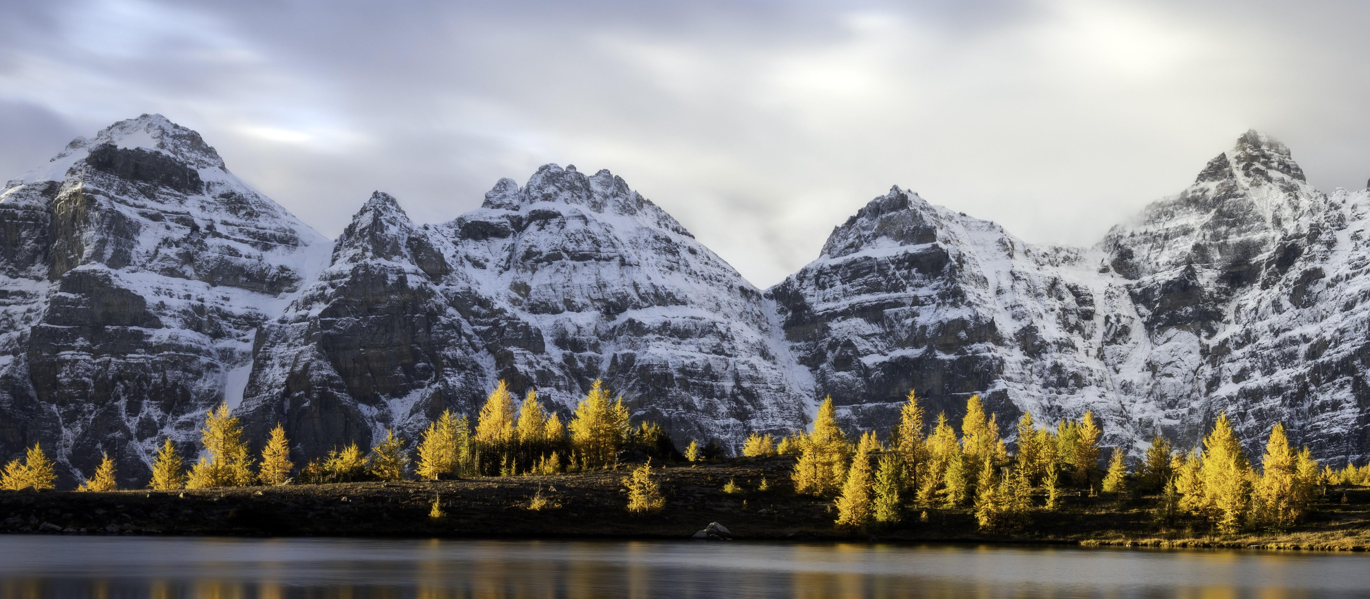 Banff: Larch Valley Guided Hike with Transfers