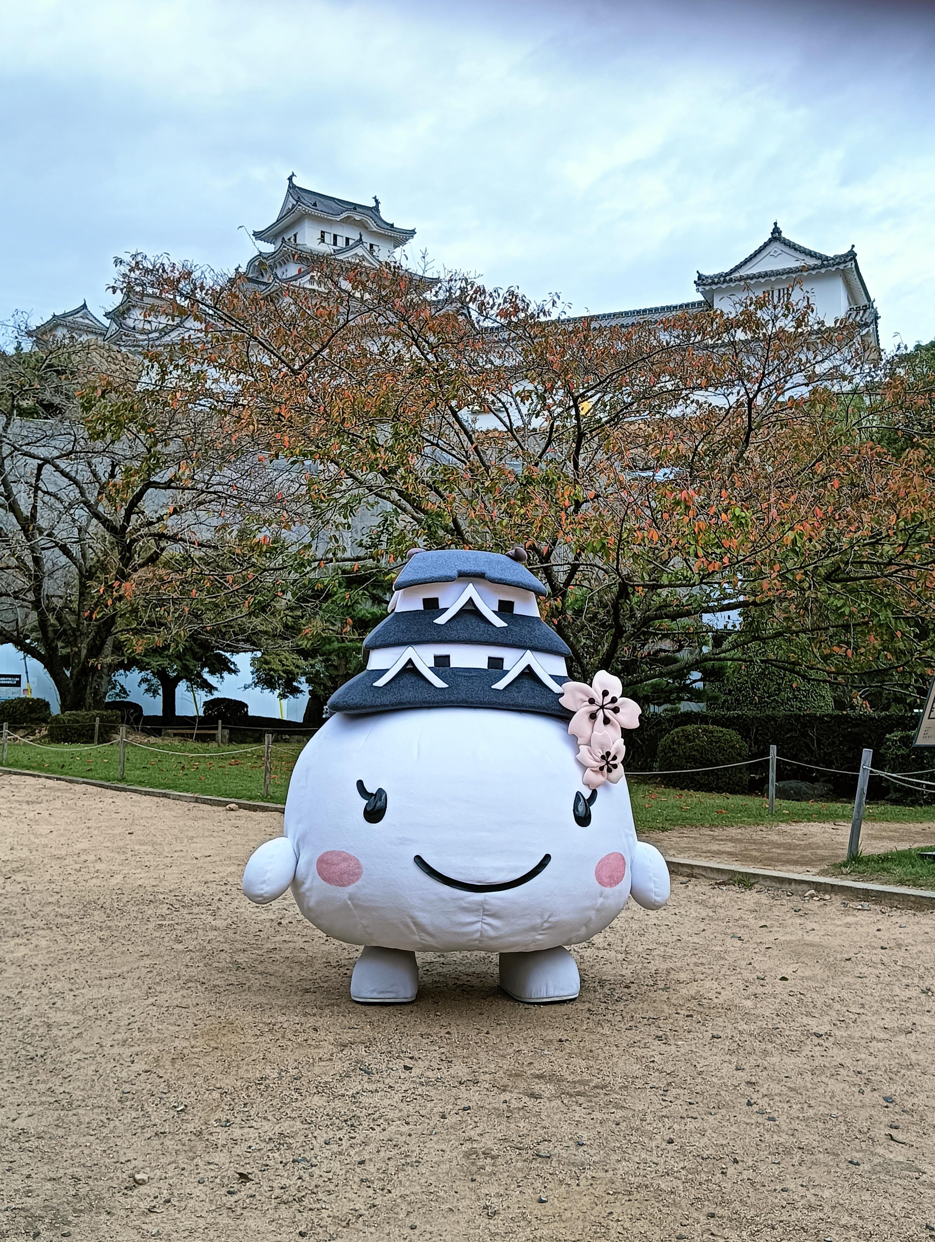 Himeji Castle guided tour with a licensed local guide — image 8