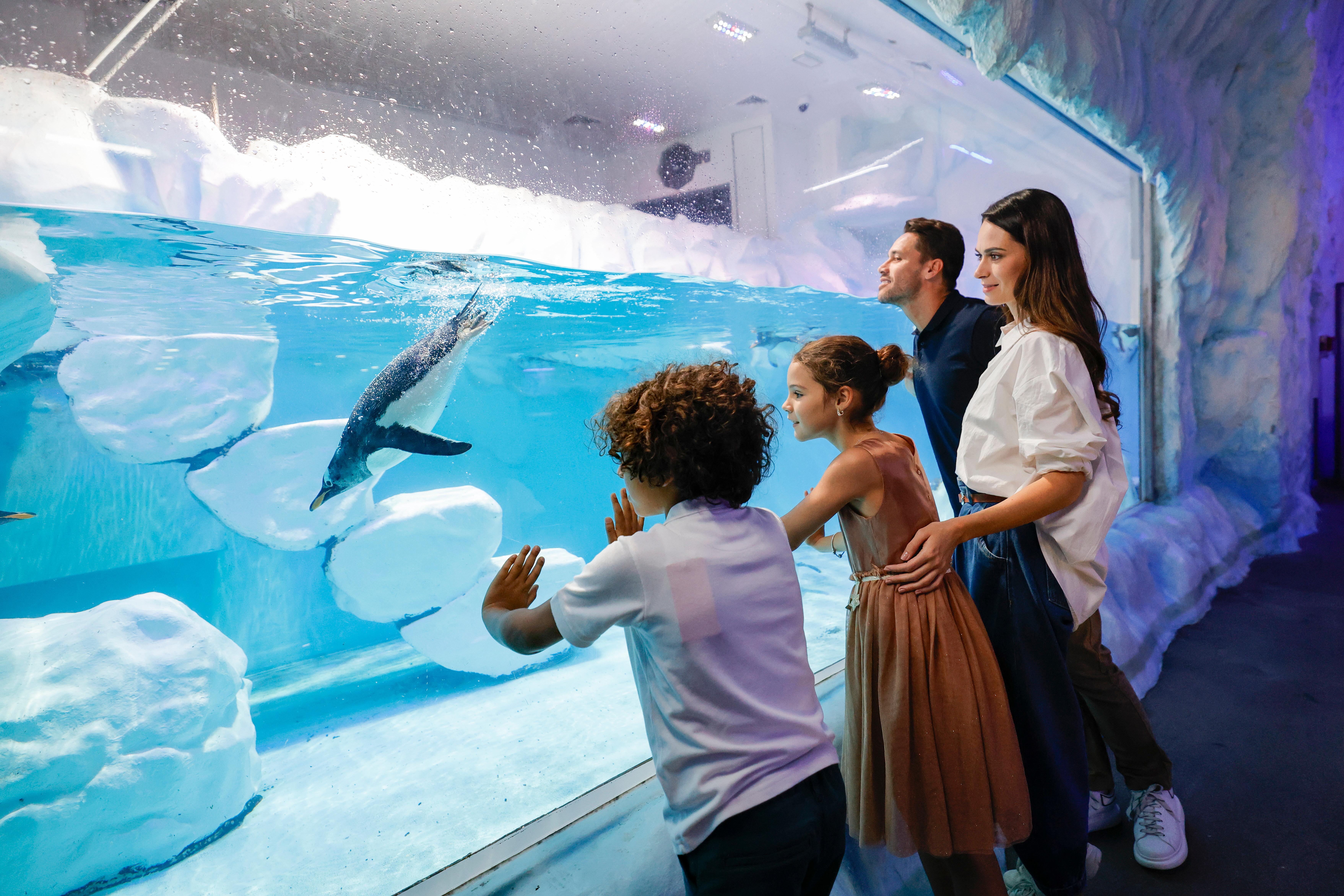 Dubai Aquarium & Underwater Zoo Exploration
