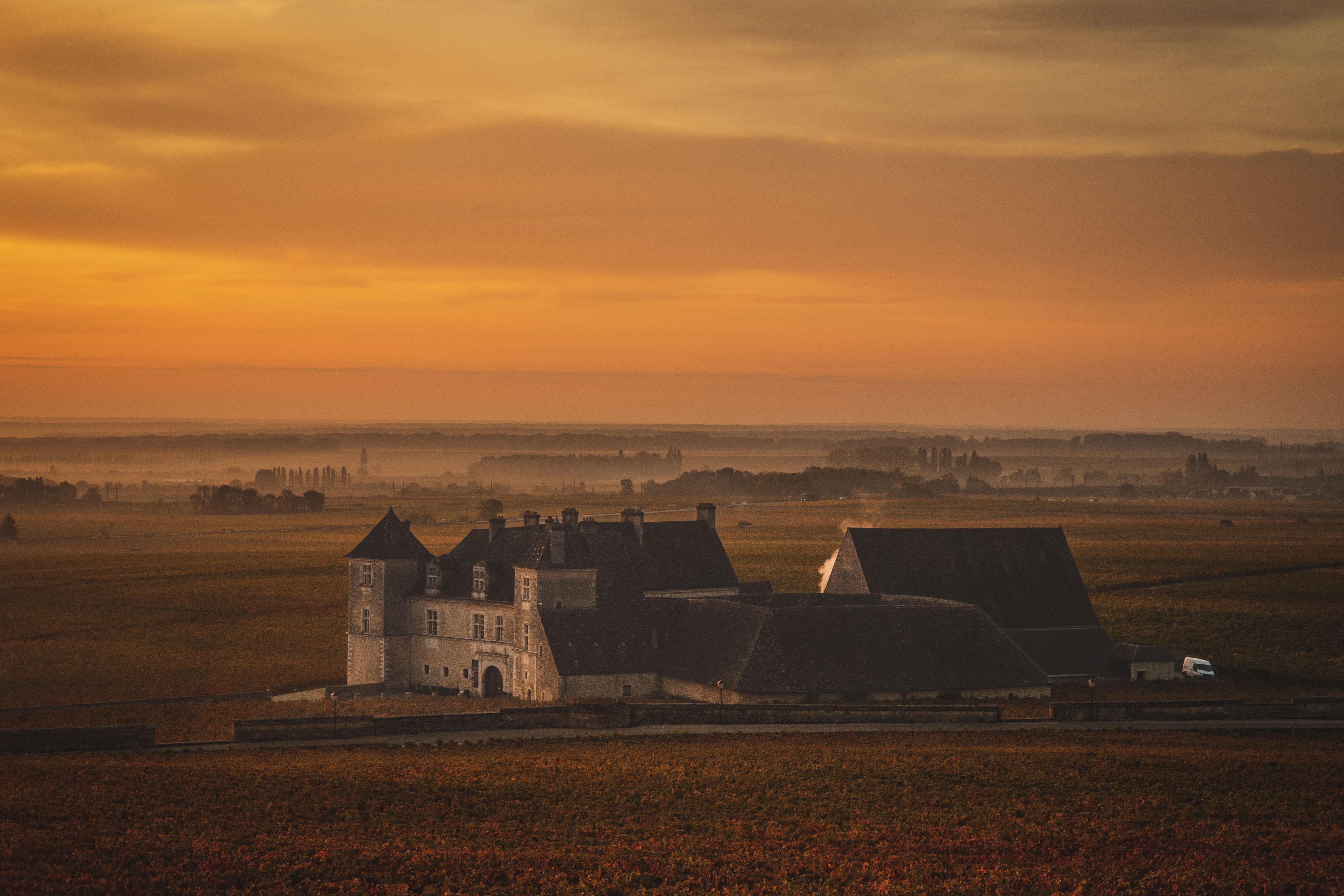 Private Burgundy Wine Discovery: Côte de Nuits & Côte de Beaune