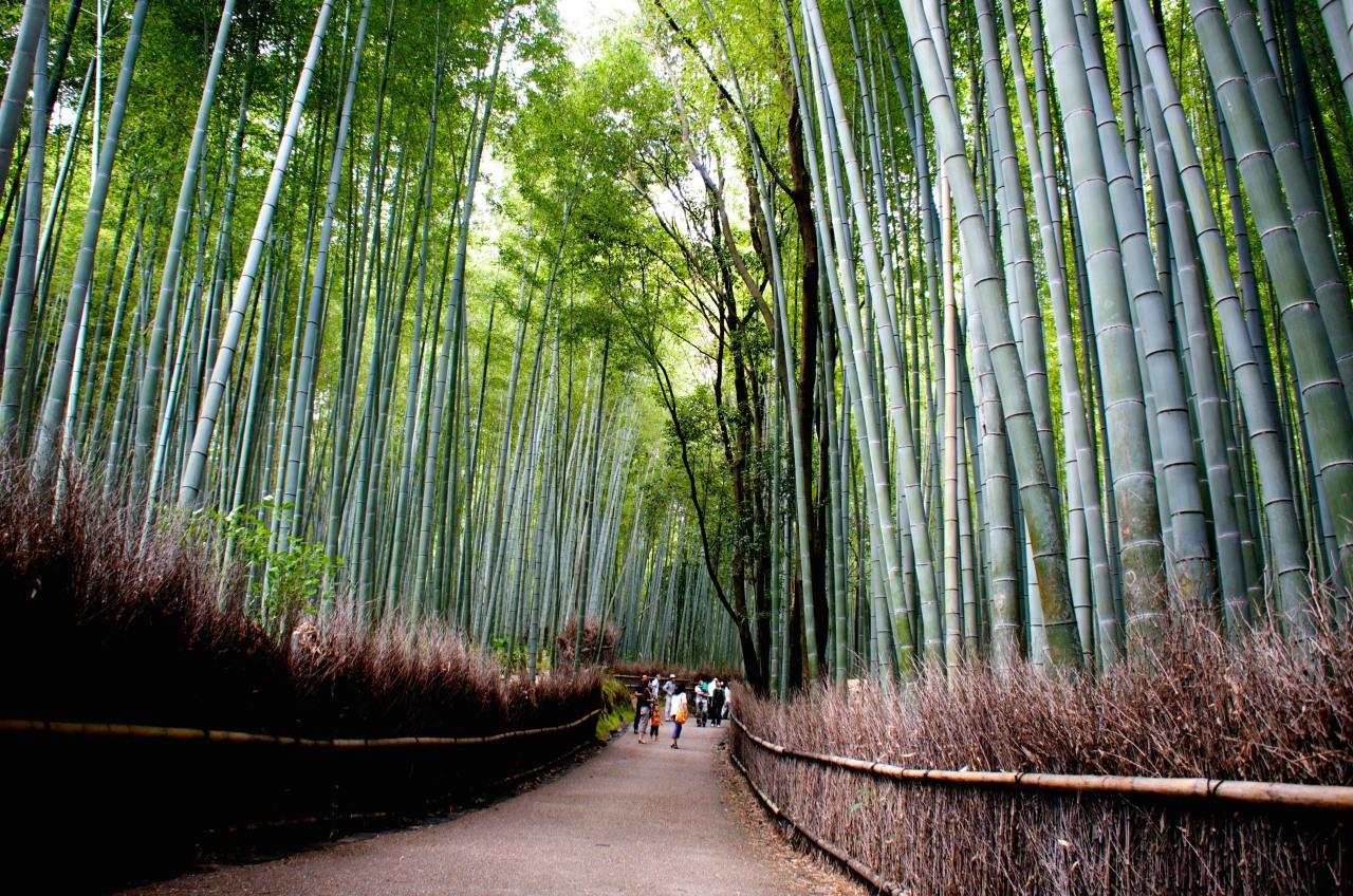 Private Kyoto Walking Tour: Samurai & Geisha Heritage