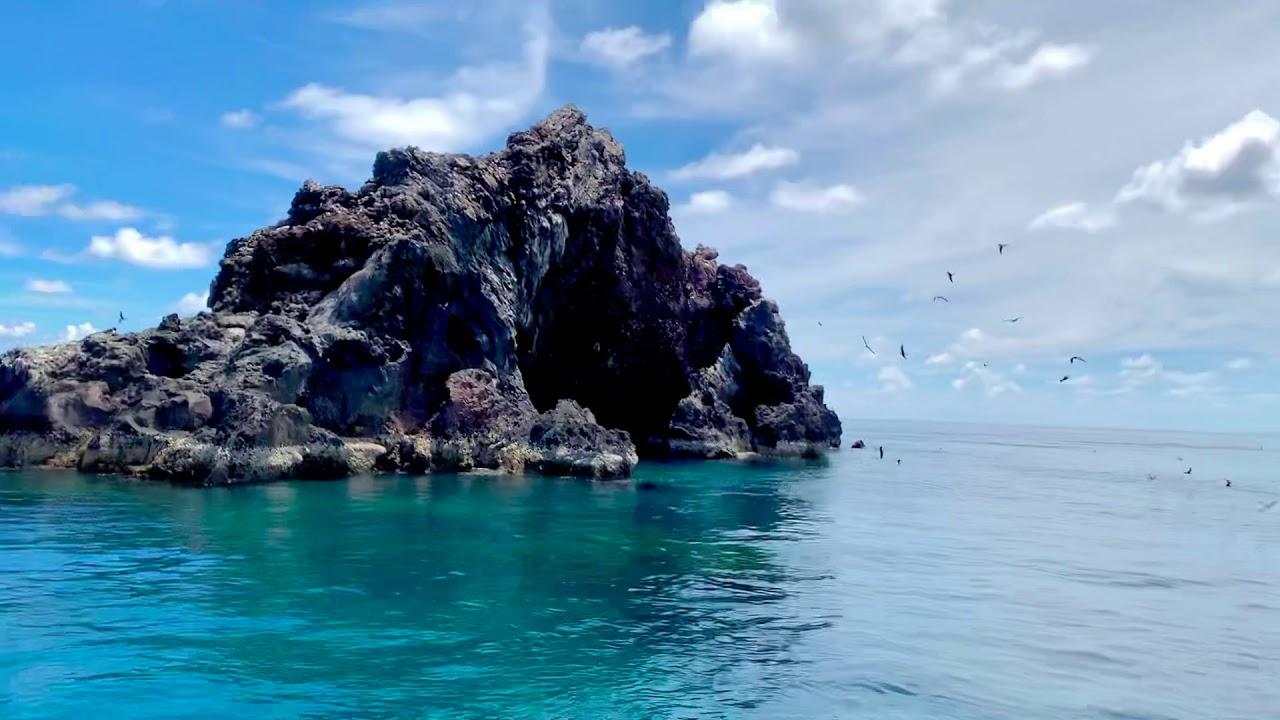 Con Dao Bird Island & Snorkeling Adventure