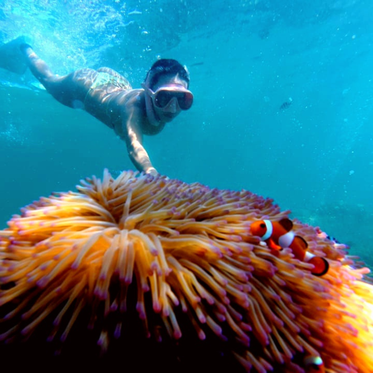 Kota Kinabalu Island Hop: Sapi & Manukan Snorkeling Day with Lunch