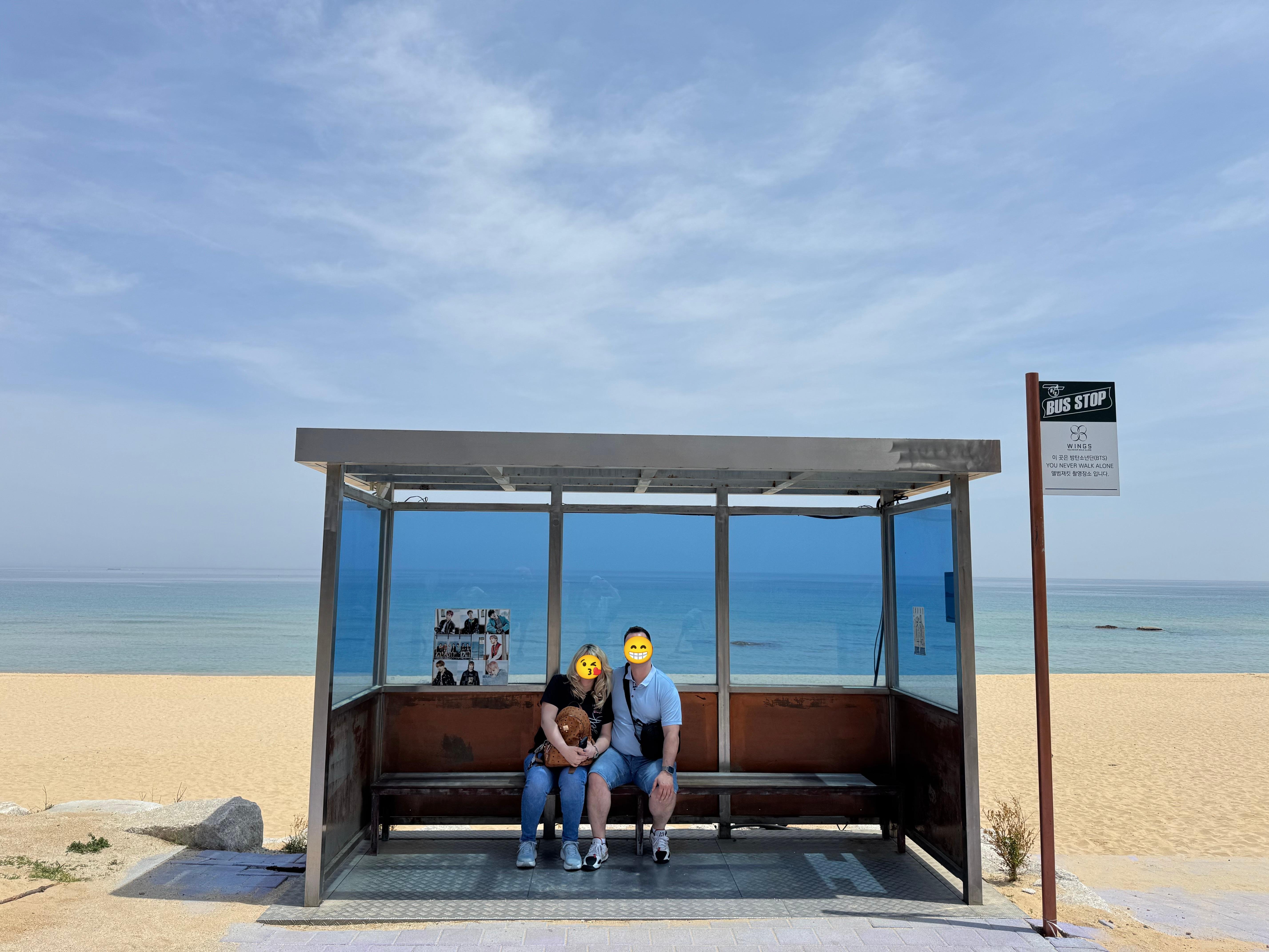 Seoul Private Luxury Vehicle Tour (English & Spanish Guide)