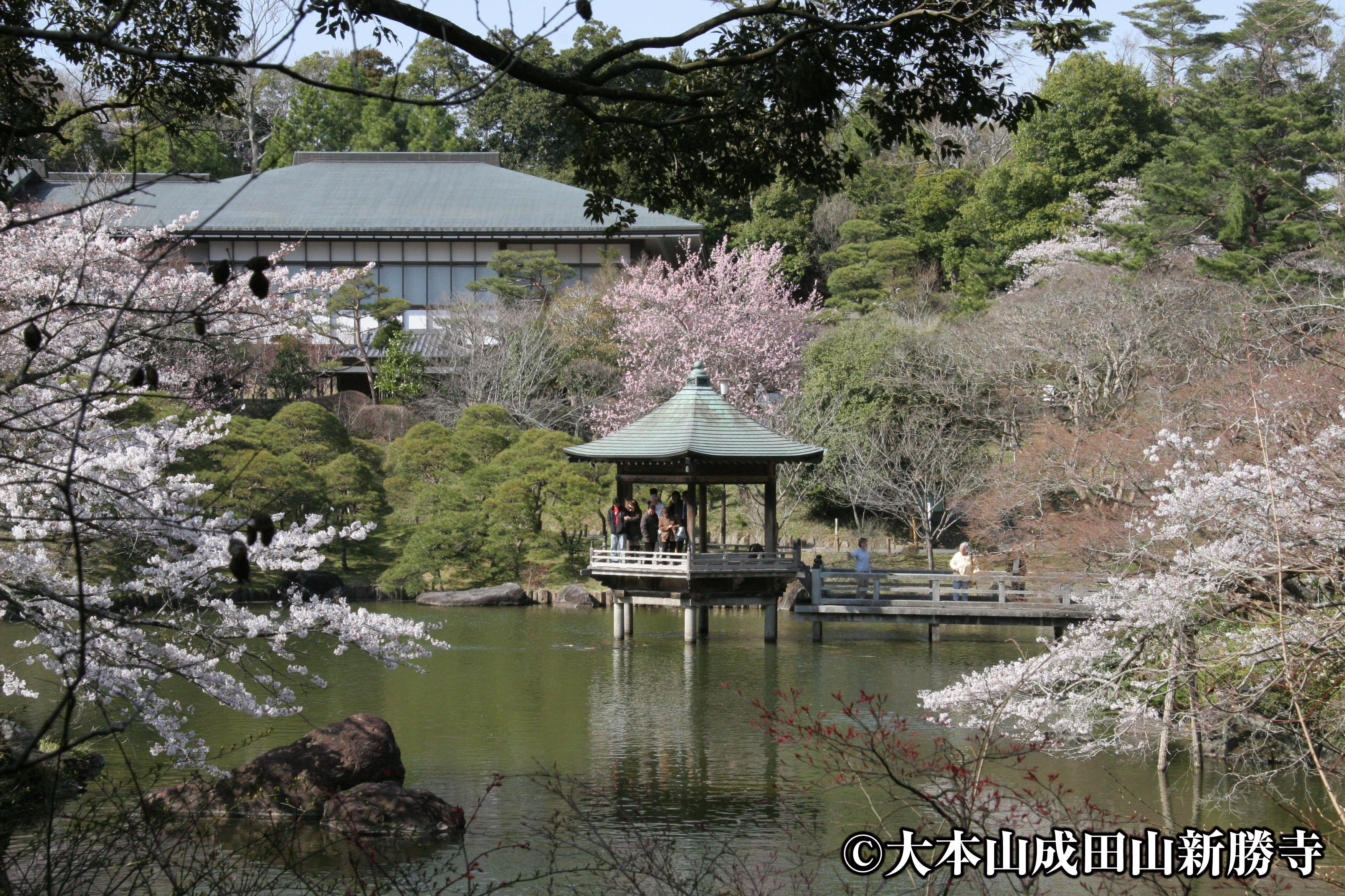 Narita Layover: Shinshoji Temple & Omotesandō Private Tour