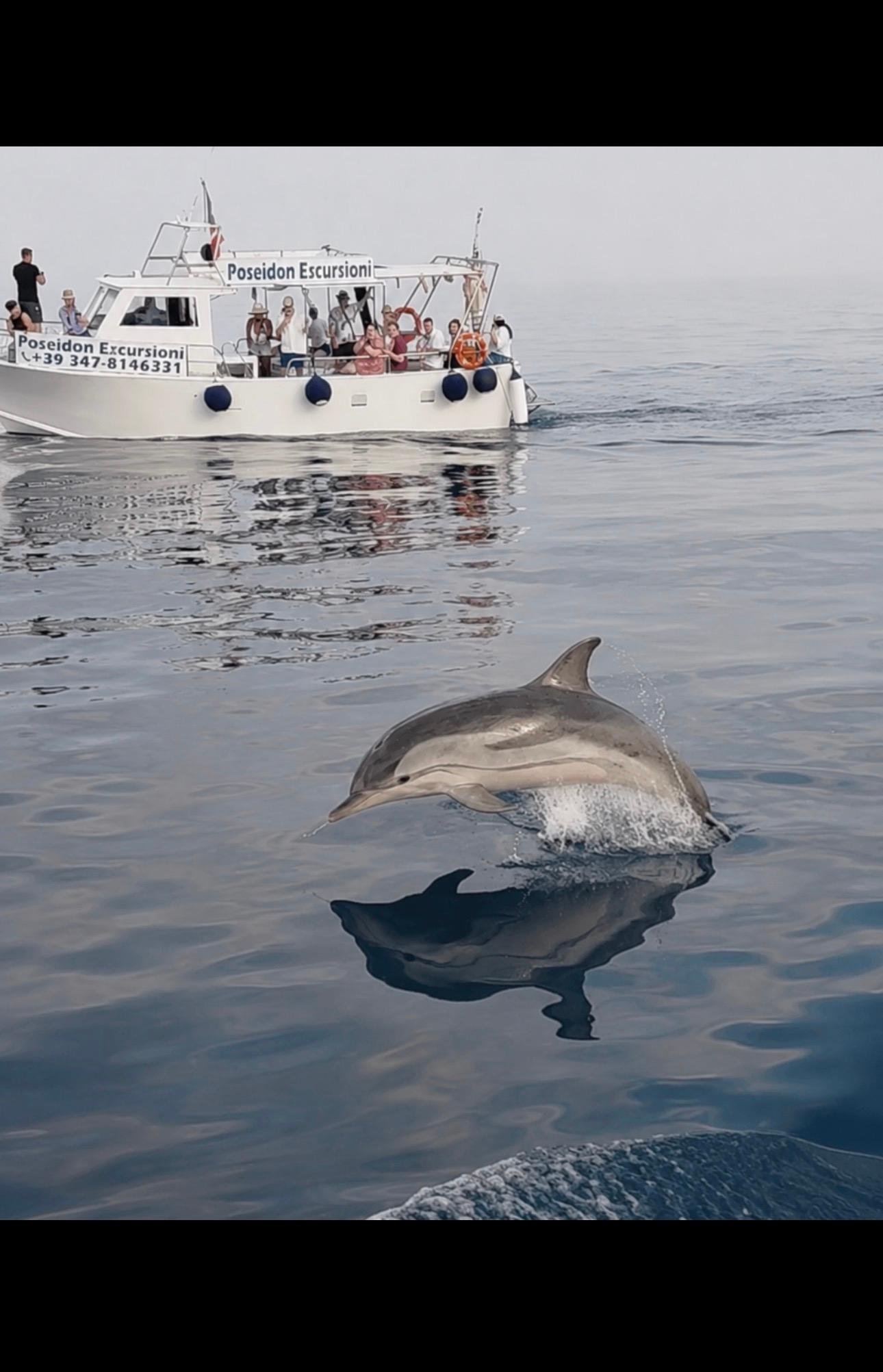 Taormina Sunset Dolphin Watching & Sicilian Aperitivo