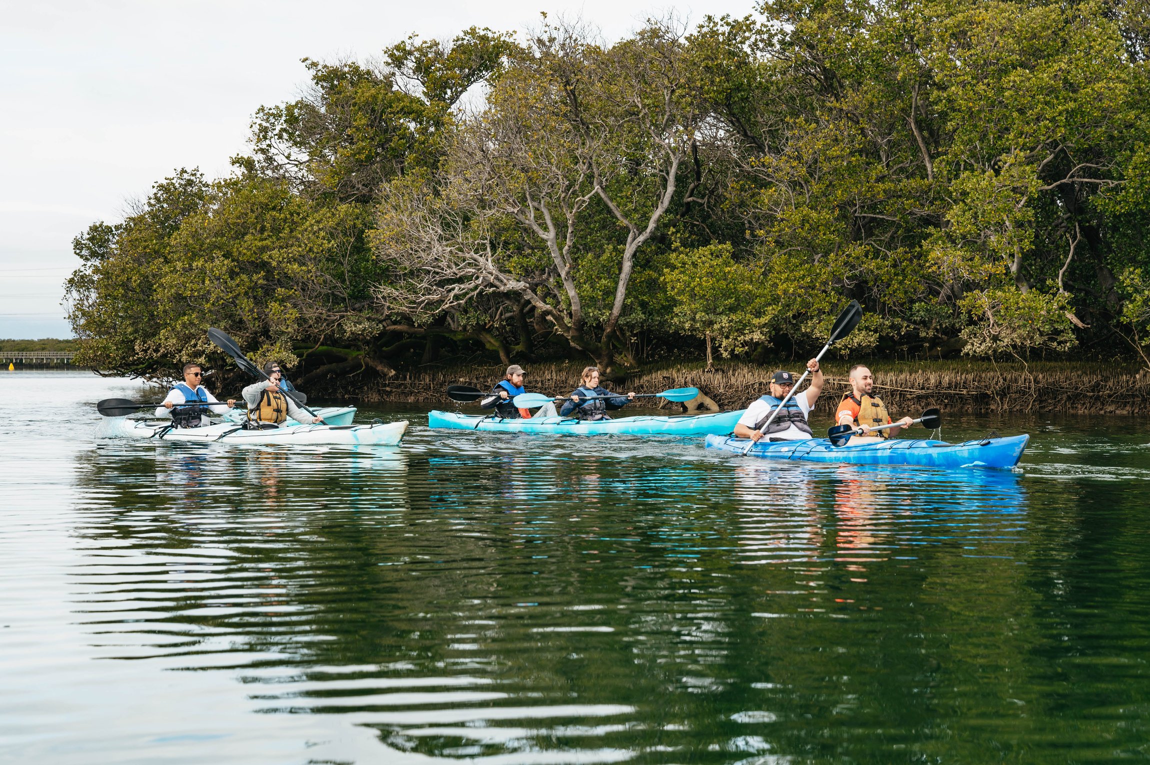 Adelaide Dolphin Sanctuary Eco Kayaking Tour