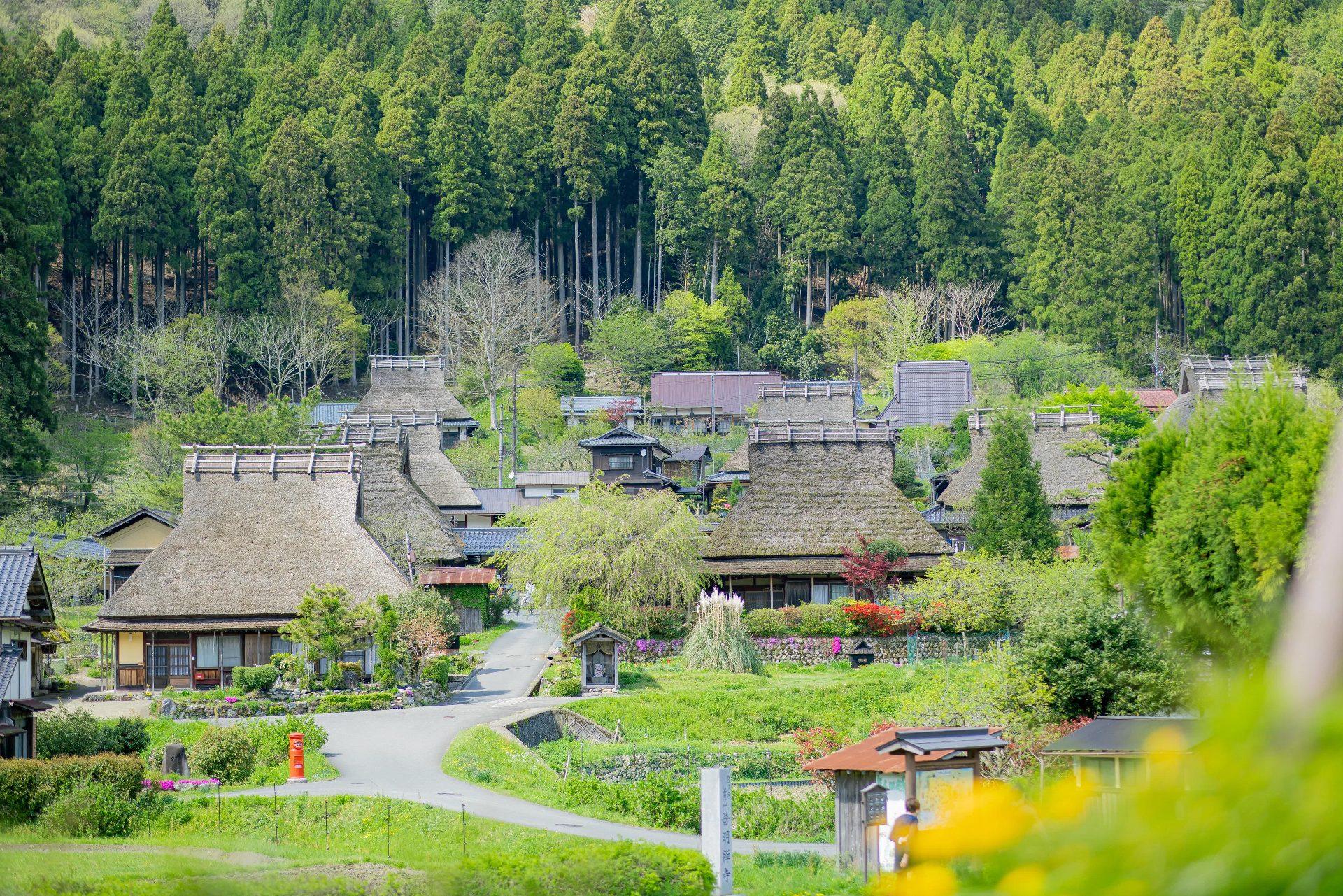 Kyoto/Osaka: Amanohashidate & Ine Funaya & Miyama Day Tour