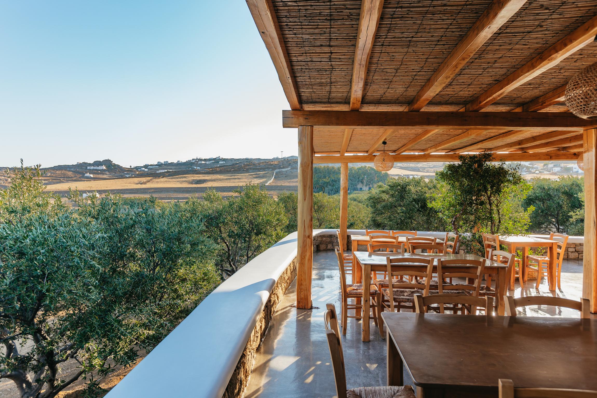 Mykonos Organic Vineyard Tour with Wine and Local Bites