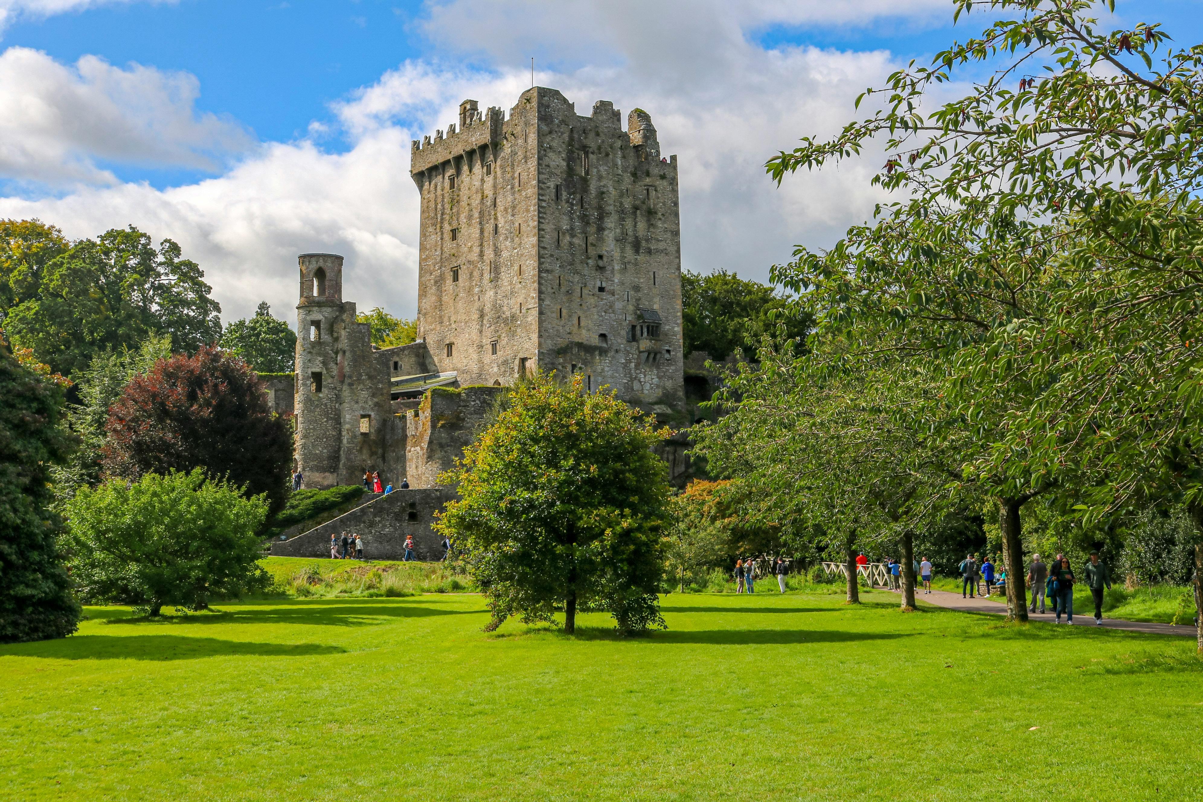 Cobh Shore Excursion: Blarney Castle, Kinsale & Cork City Tour
