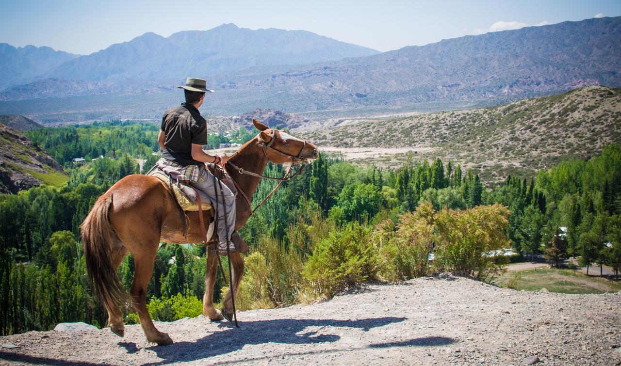 Sunset Horseback Ride & Asado in the Andes from Mendoza