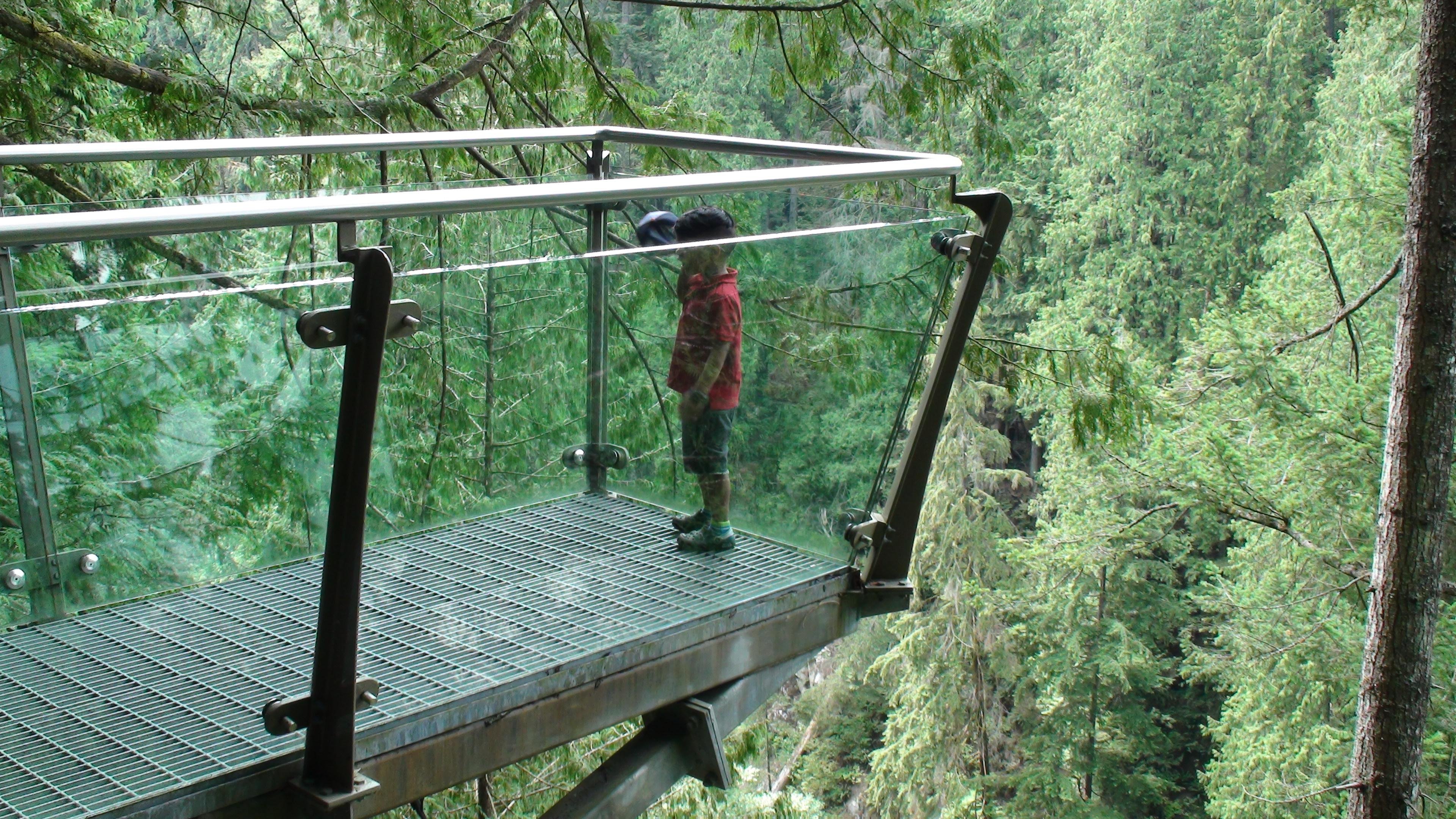 Capilano Suspension Bridge & Stanley Park Small Group Tour