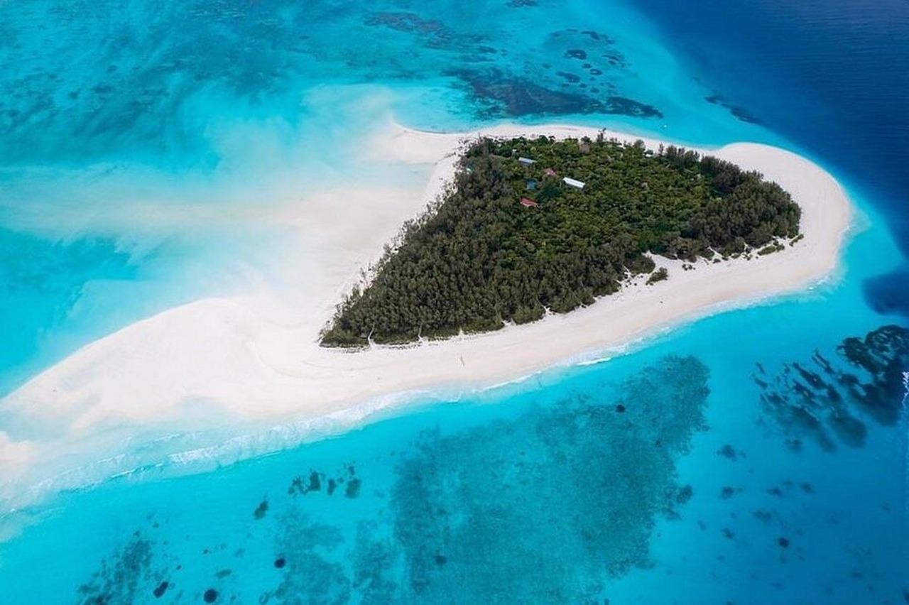 Mnemba Island Dolphin & Snorkeling Private Tour