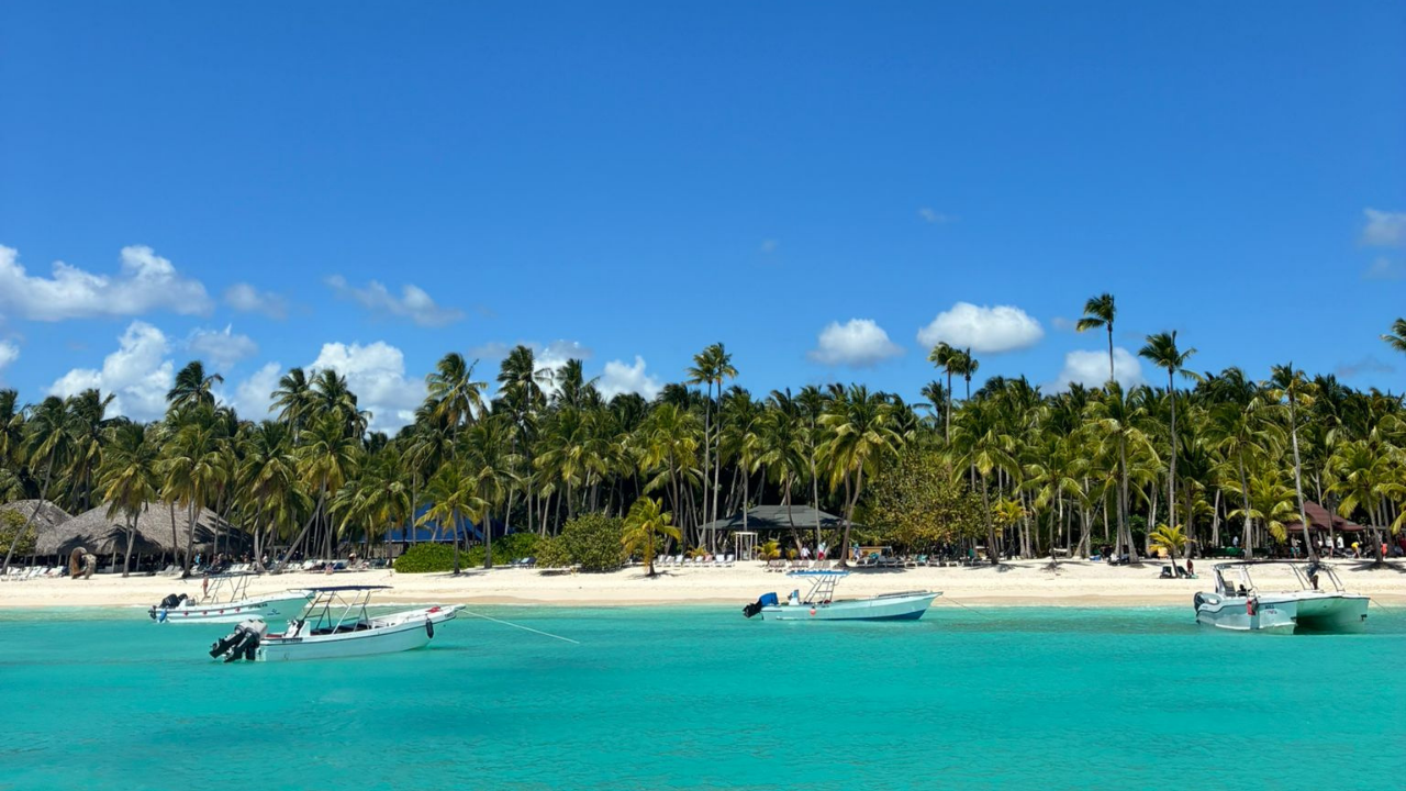 Saona Island Catamaran Day Trip from Punta Cana with Lunch