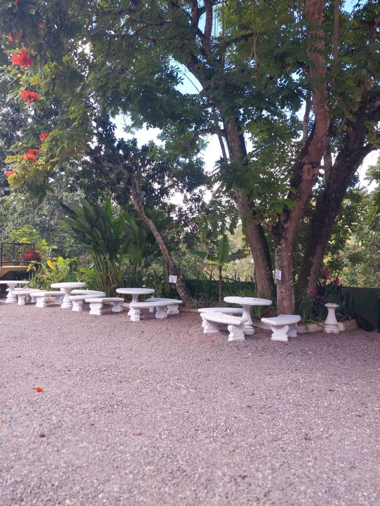 Nine Mile: Bob Marley Birthplace and Reggae Heritage Tour