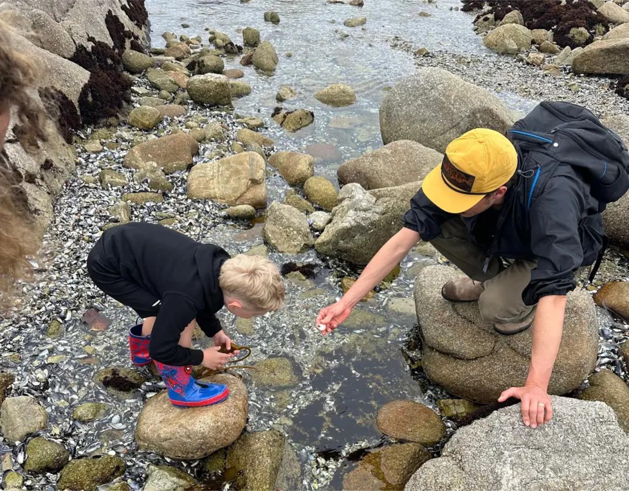 Monterey Tide Pool Exploration Tour with a Naturalist