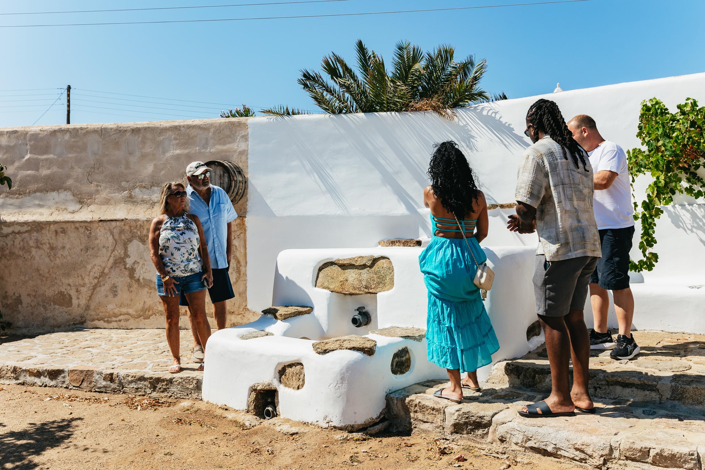 Mykonos Organic Vineyard Tour with Wine and Local Bites