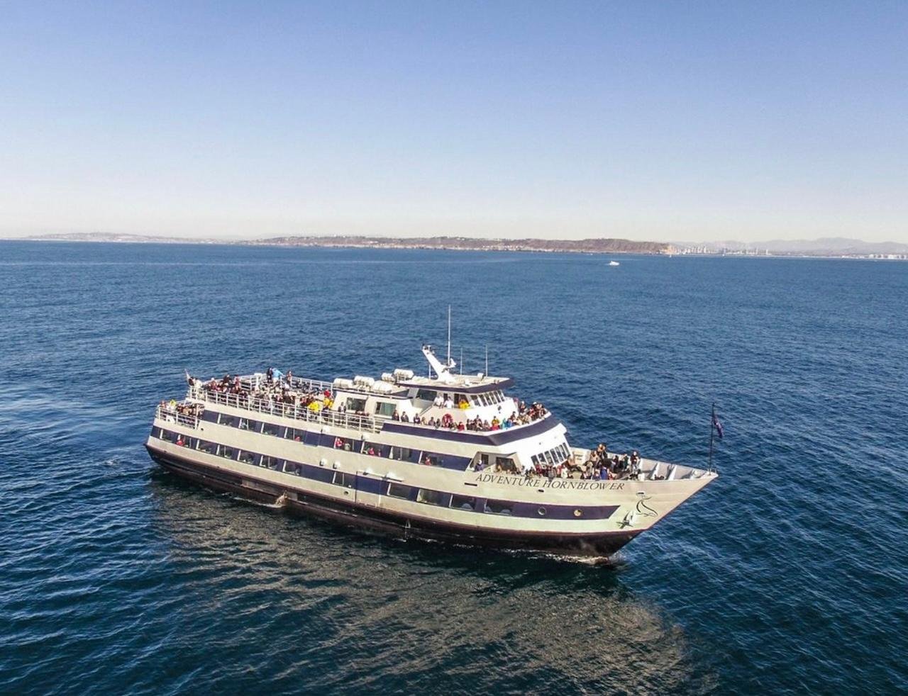 San Diego: City Cruises Whale and Dolphin Watching Cruise