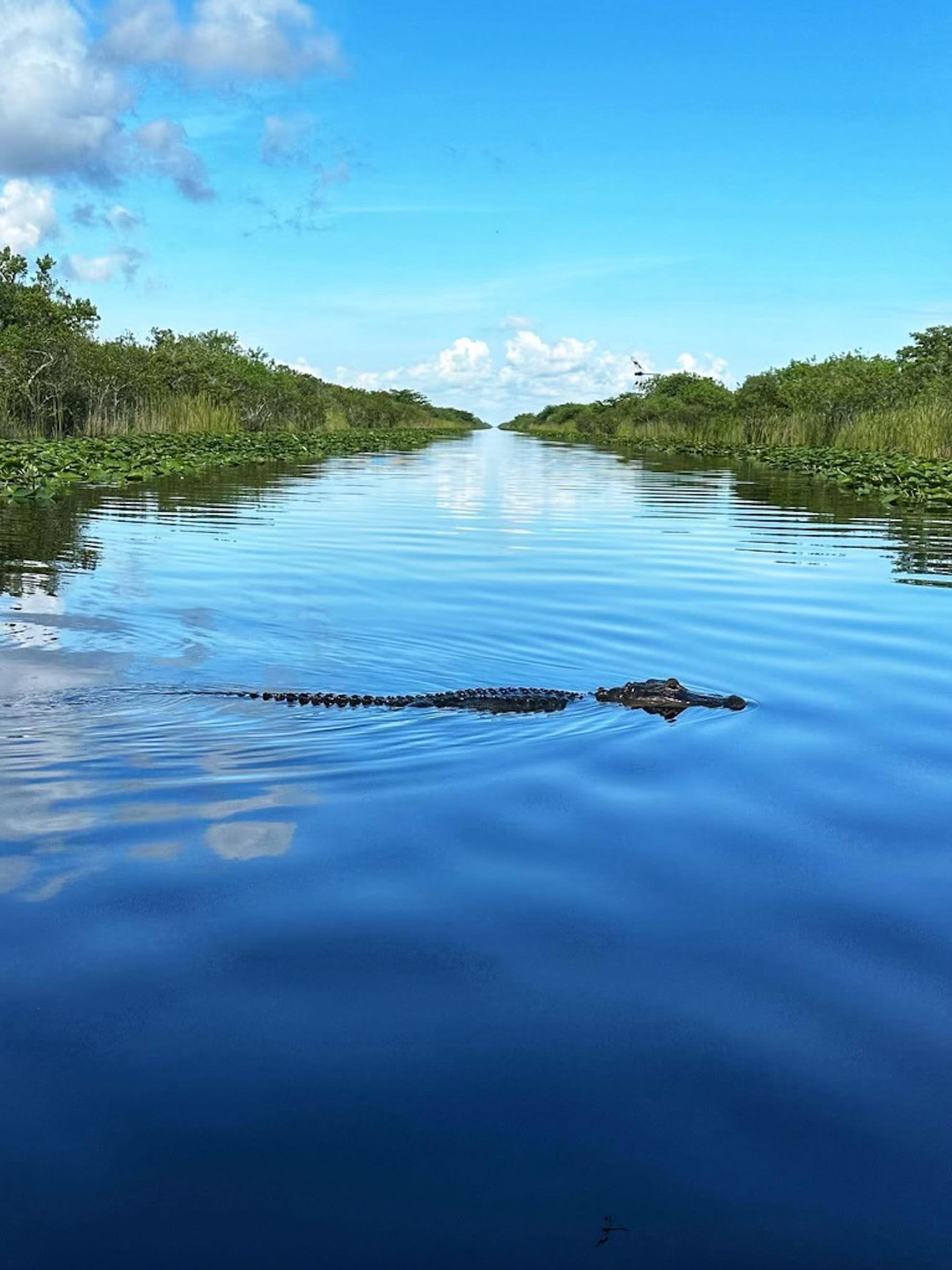 Everglades Airboat Adventure with Miami Transportation
