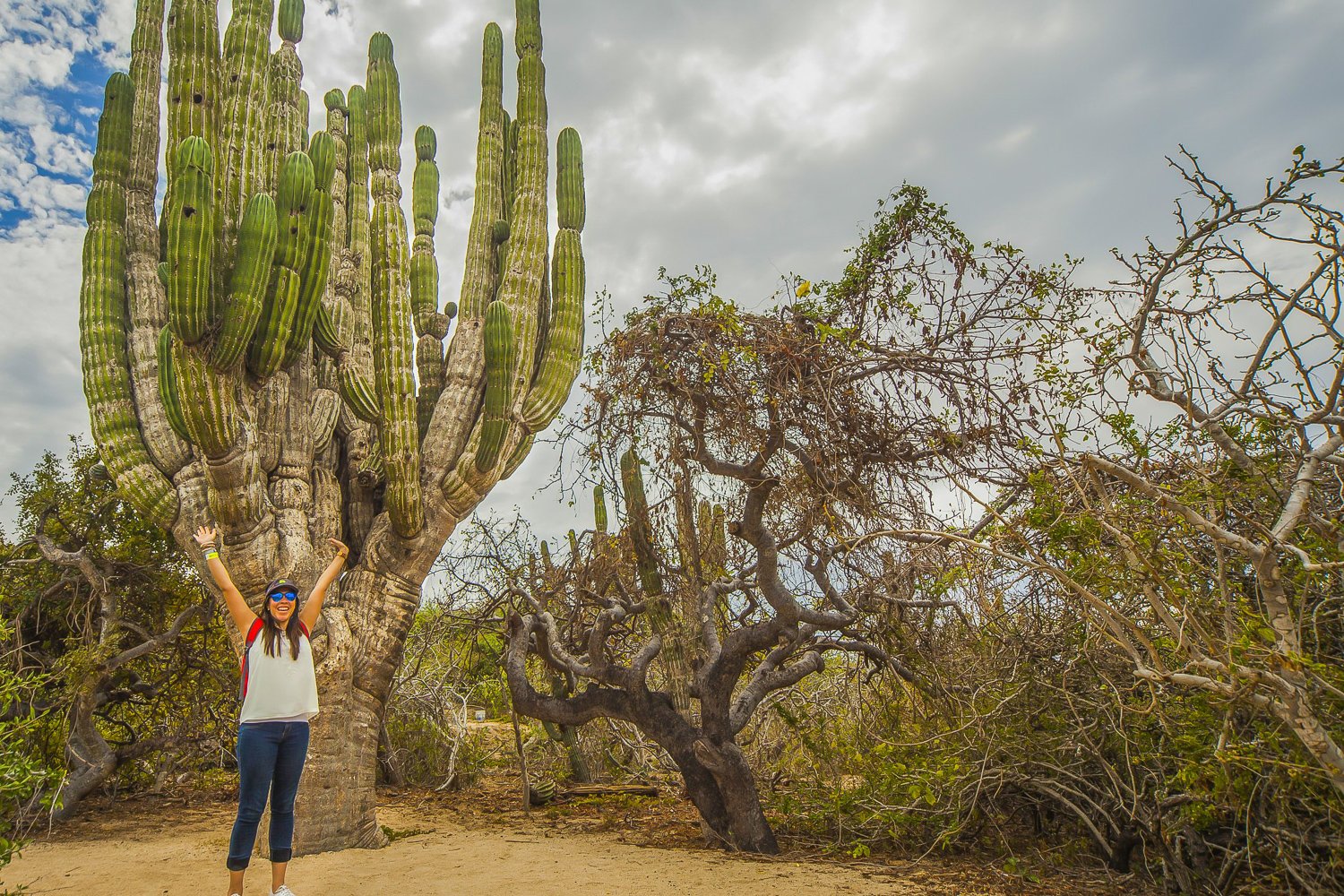 Cabo San Lucas Camel Safari with Lunch & Tequila Tasting
