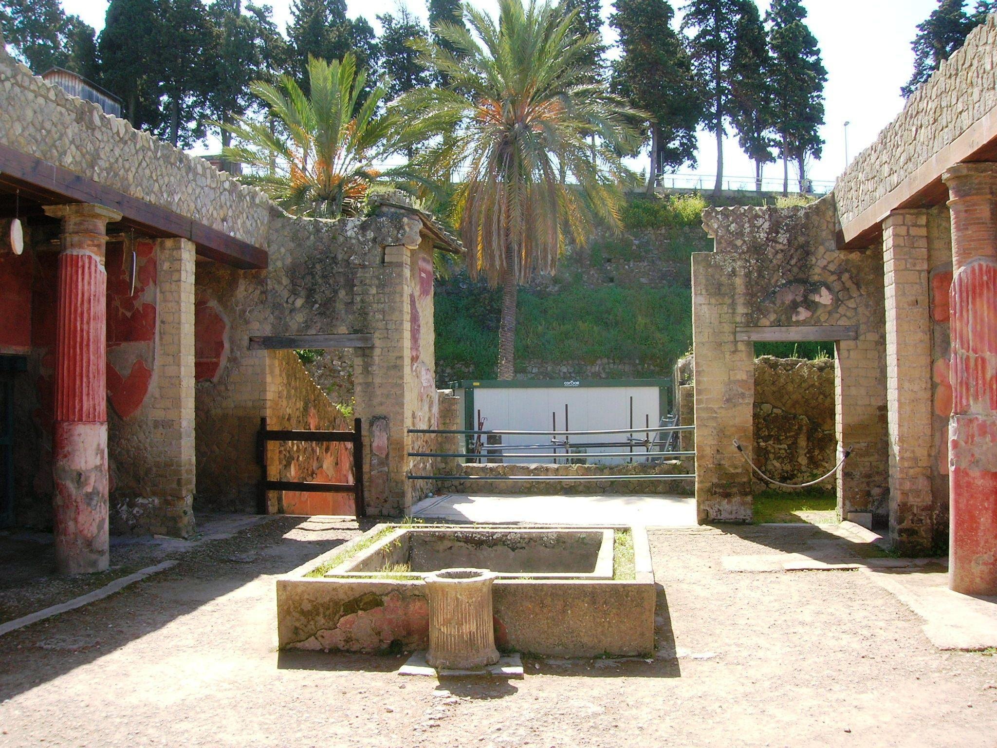 Herculaneum Archaeologist-Led Day Tour from Sorrento