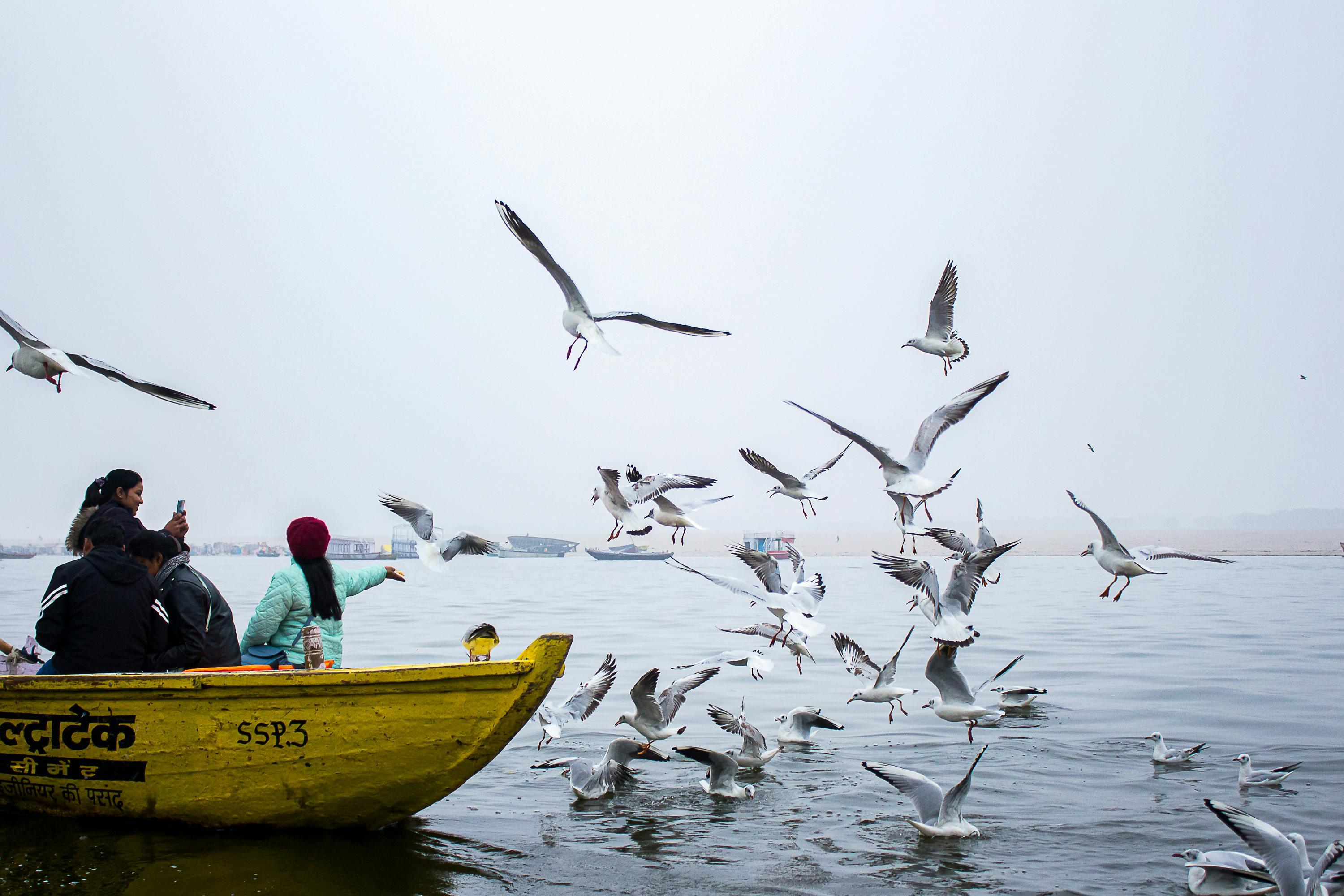 Varanasi: Private City Tour with Boat Ride & Ganga Aarti - 2026 (Verified Reviews)