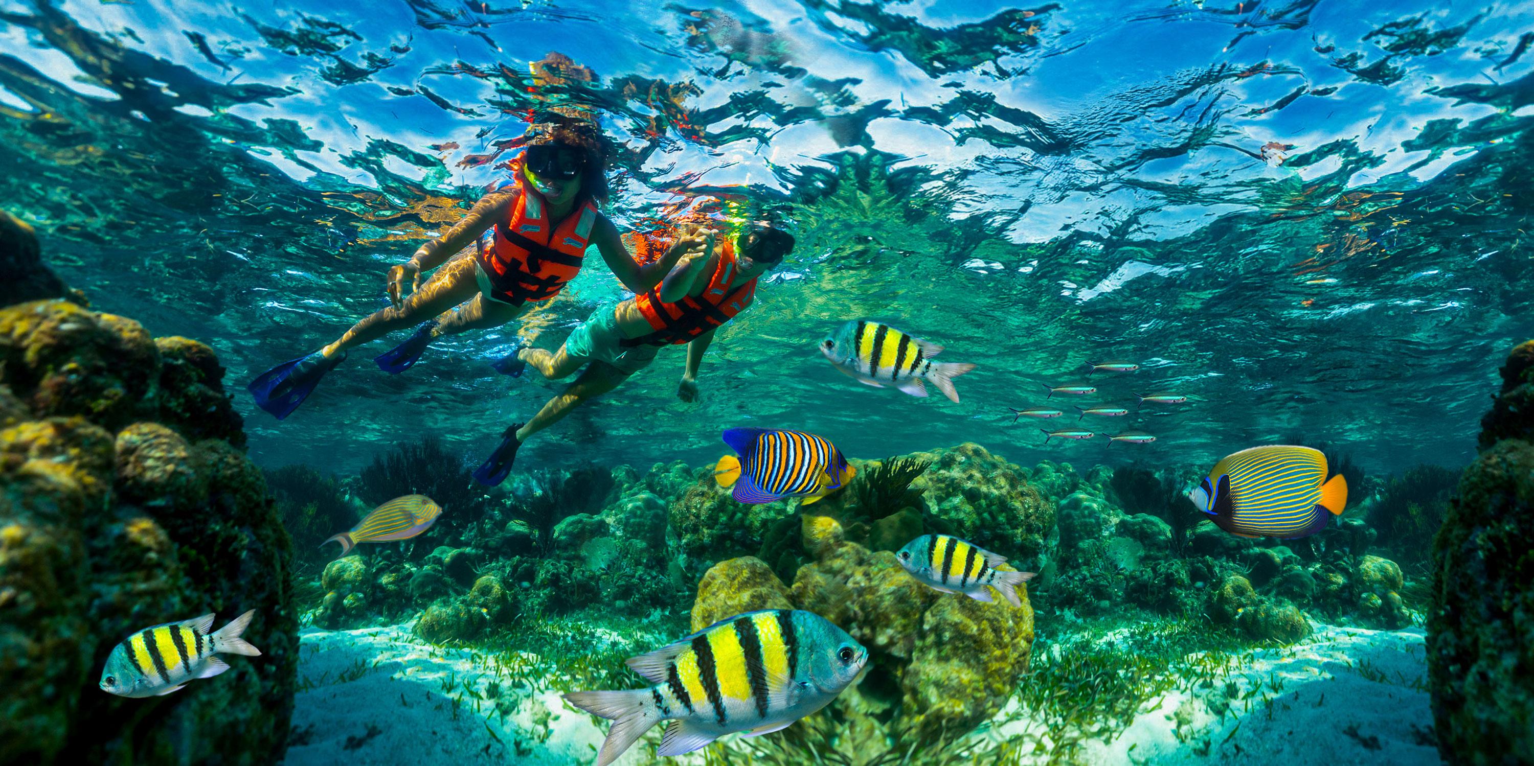 Puerto Morelos Reef Snorkeling & Beach Day