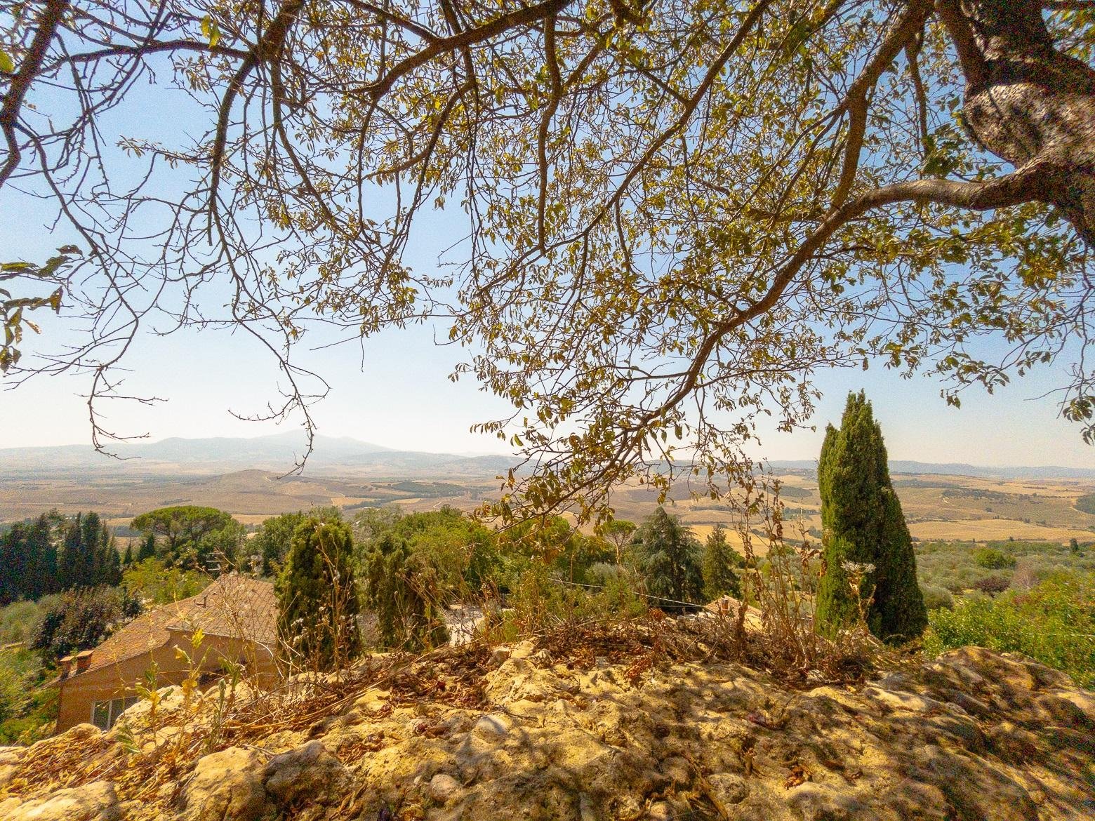 wine tour in Montalcino — photo 3