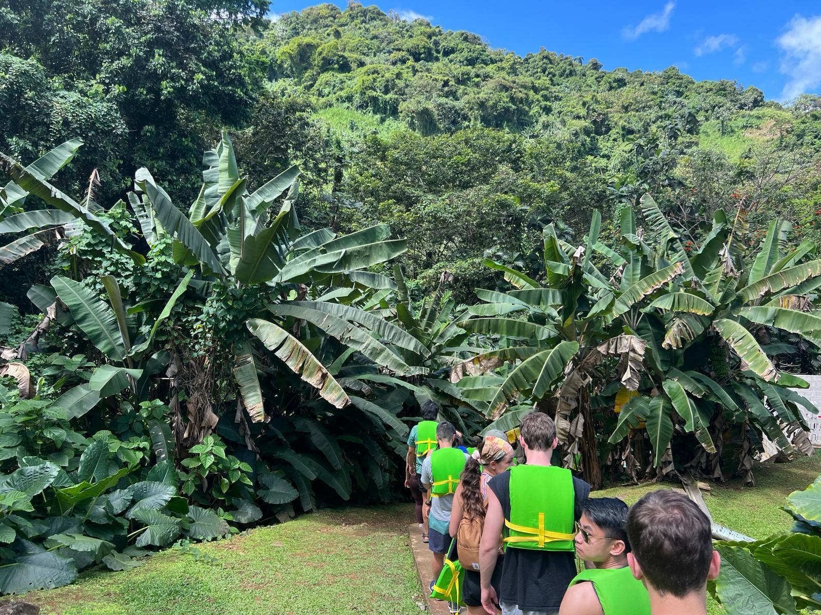 El Yunque Rainforest Adventure: Waterfalls, Slides & Luquillo Beach