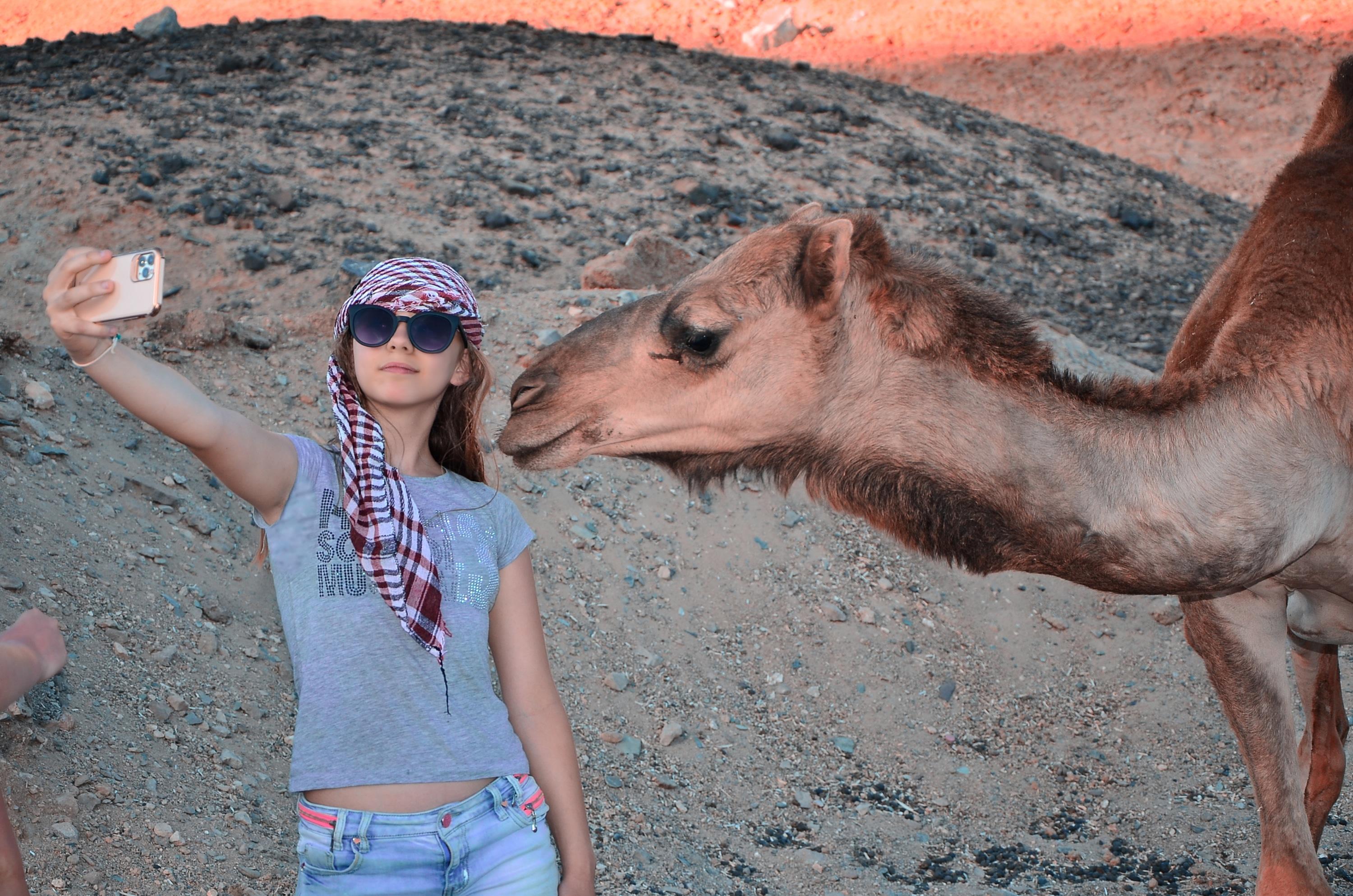 Sinai Desert & Dahab Full-Day Adventure from Sharm El Sheikh