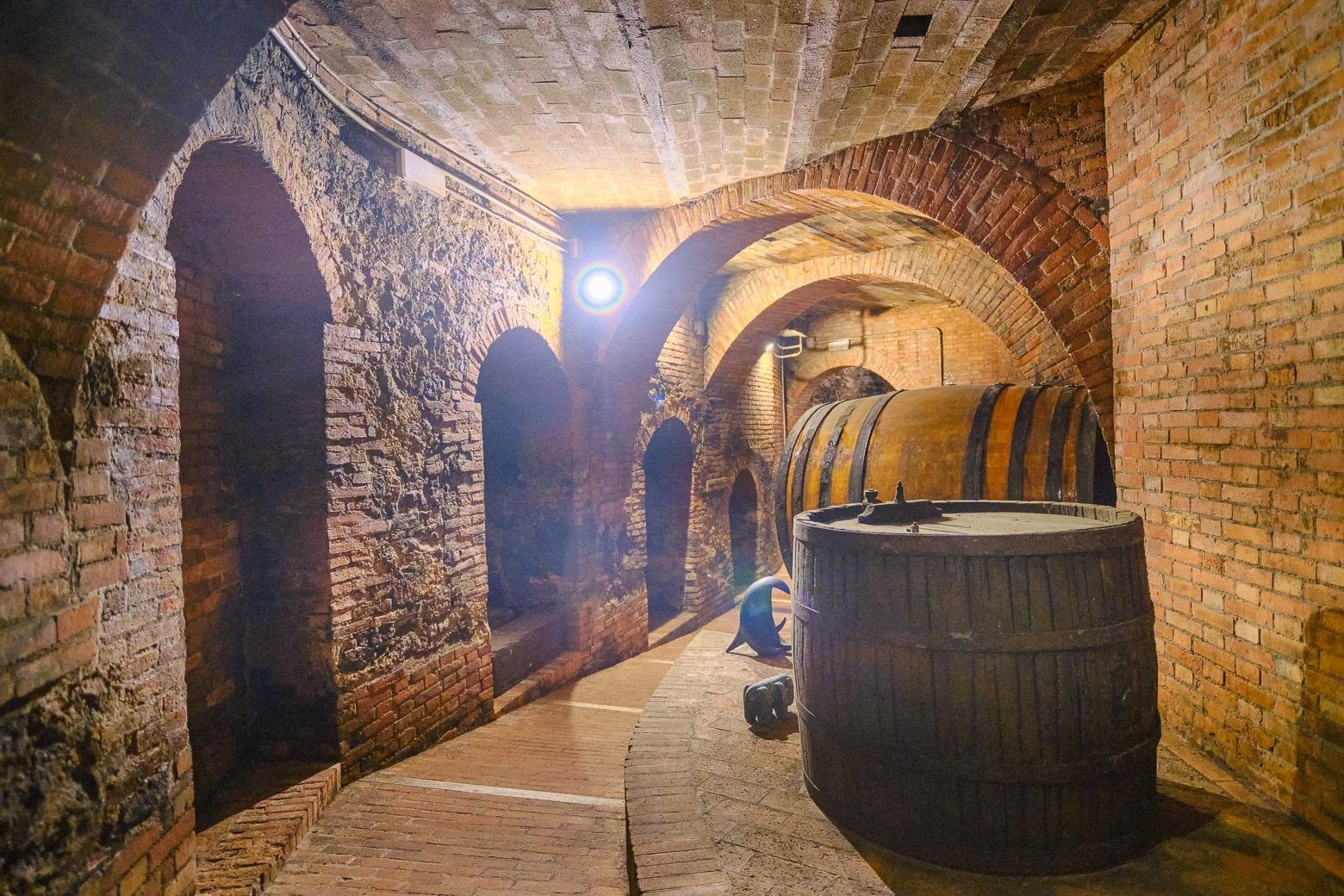 wine tour in Montalcino — photo 18