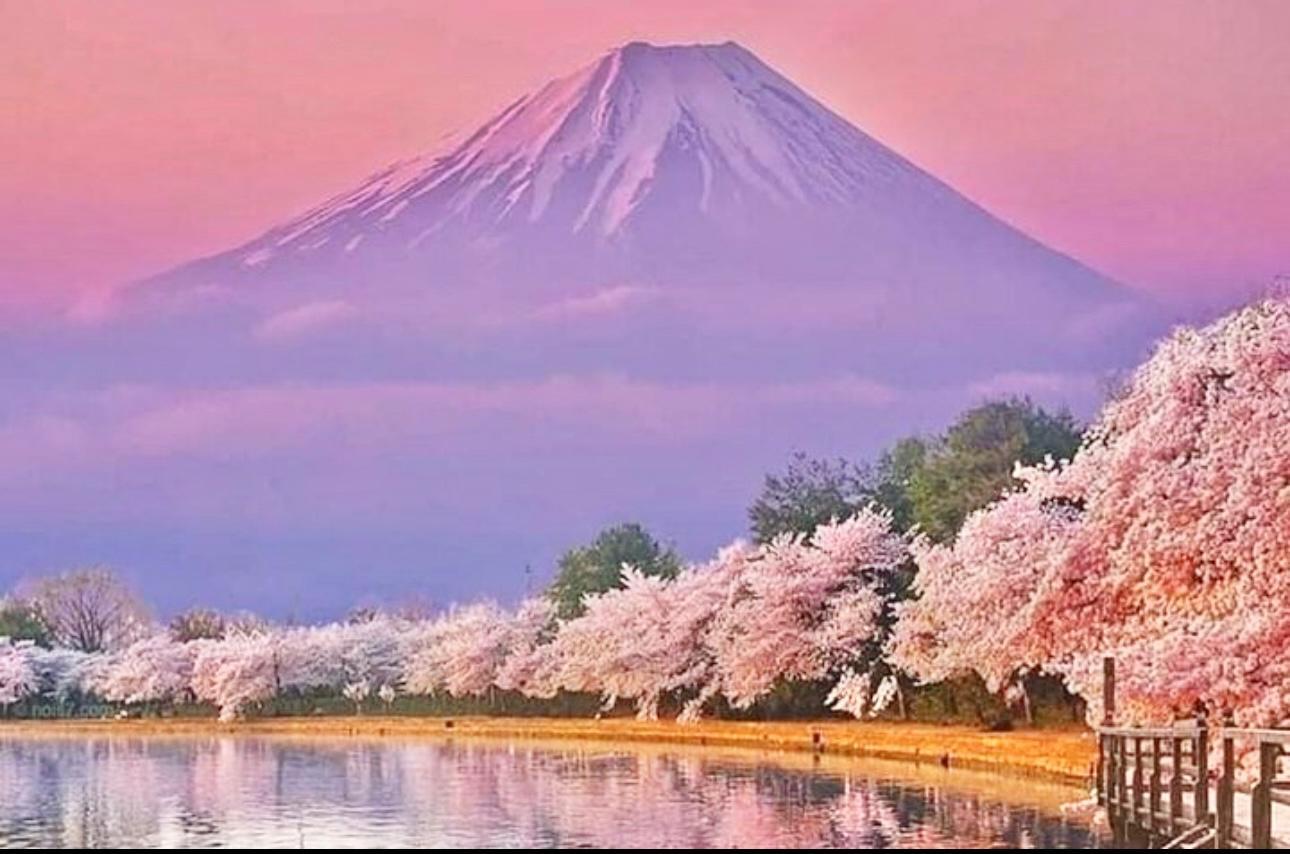 Tokyo to Mt. Fuji & Hakone: Private Full-Day Tour with English Driver