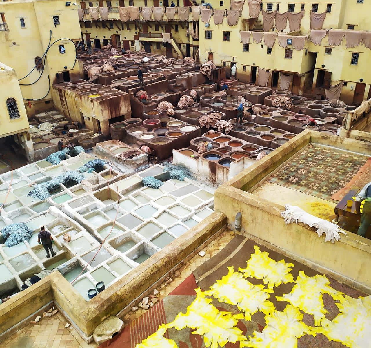 Fes Medina Walking Tour with Local Expert