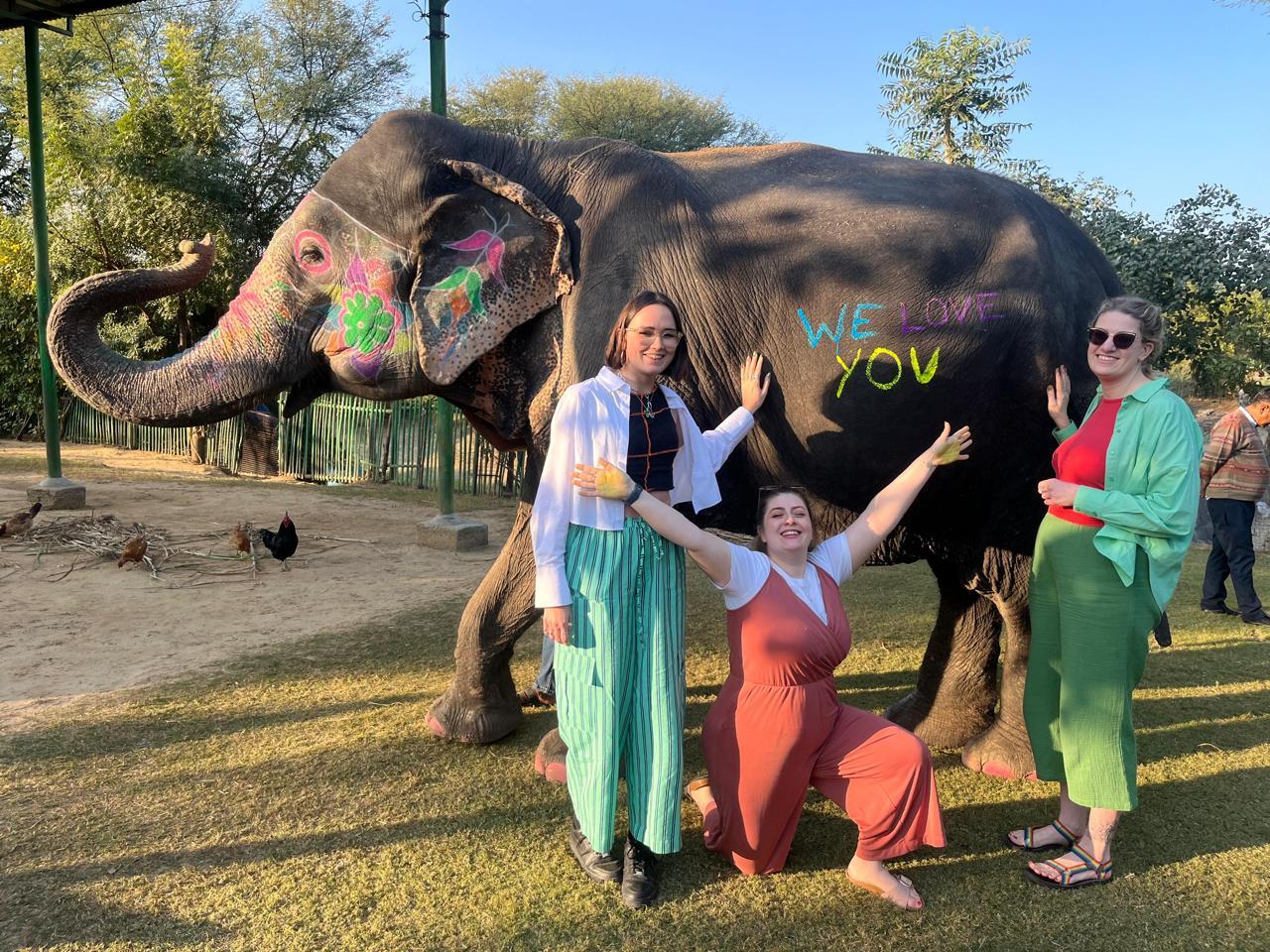 Jaipur Ethical Elephant Sanctuary Experience