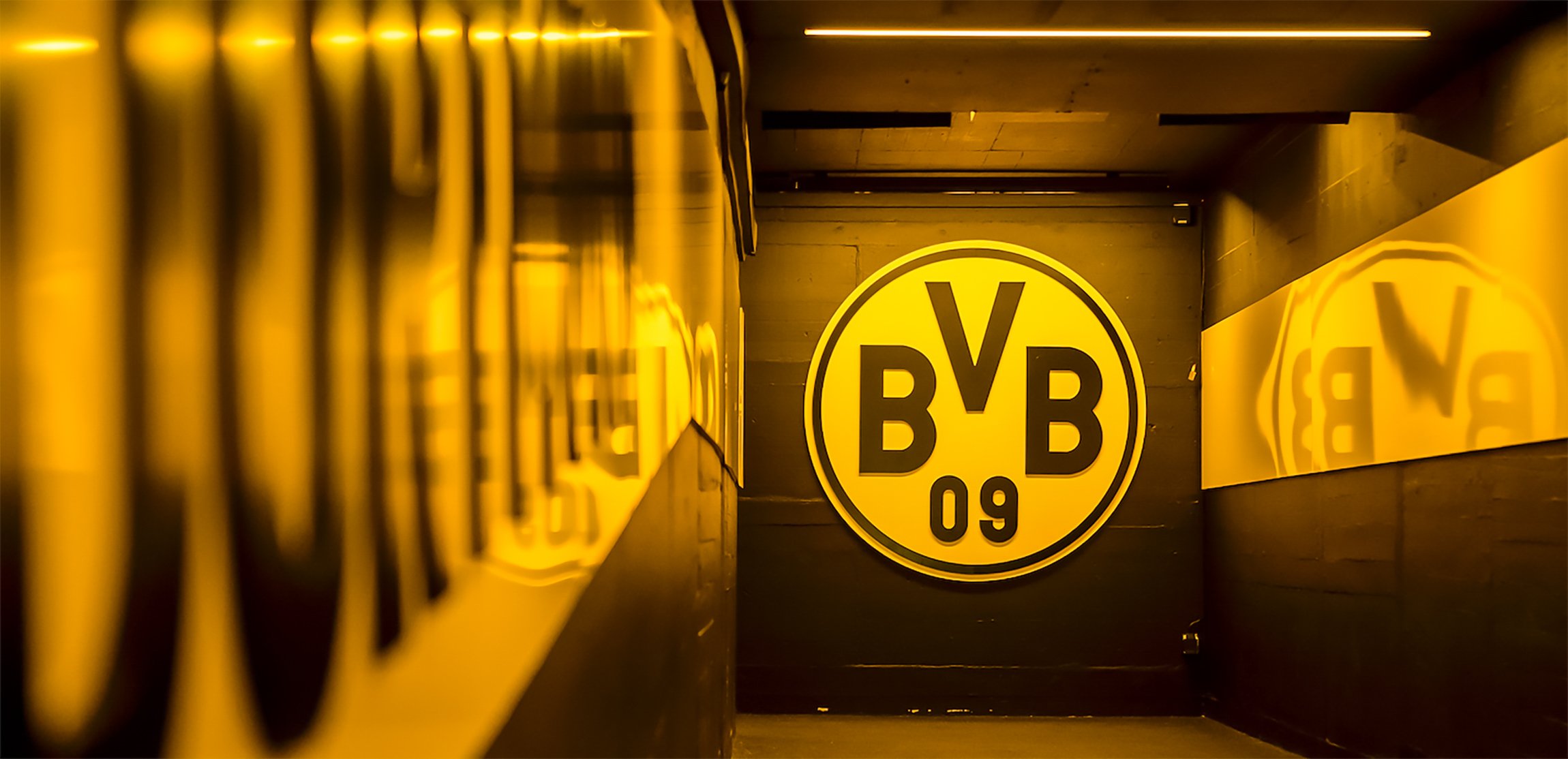 SIGNAL IDUNA PARK Self-Guided Stadium Experience