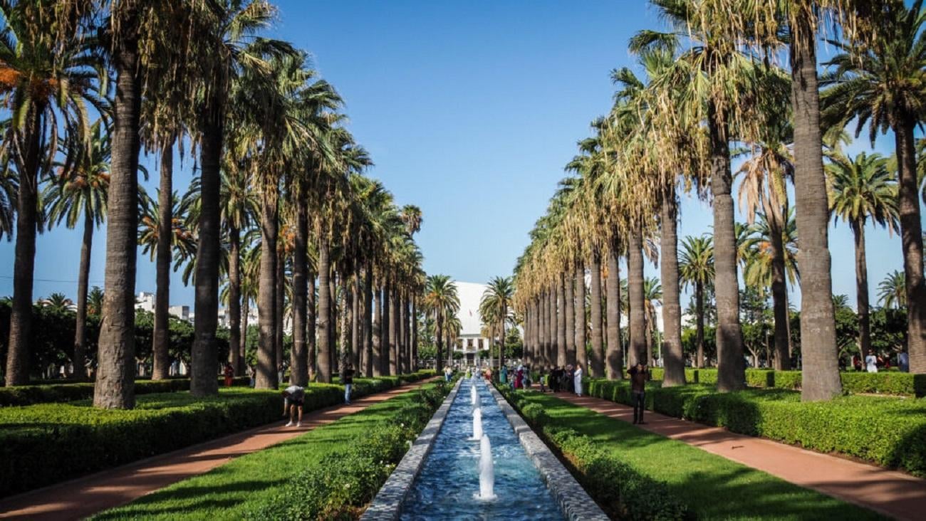 Full-Day Casablanca Cultural Tour from Marrakech